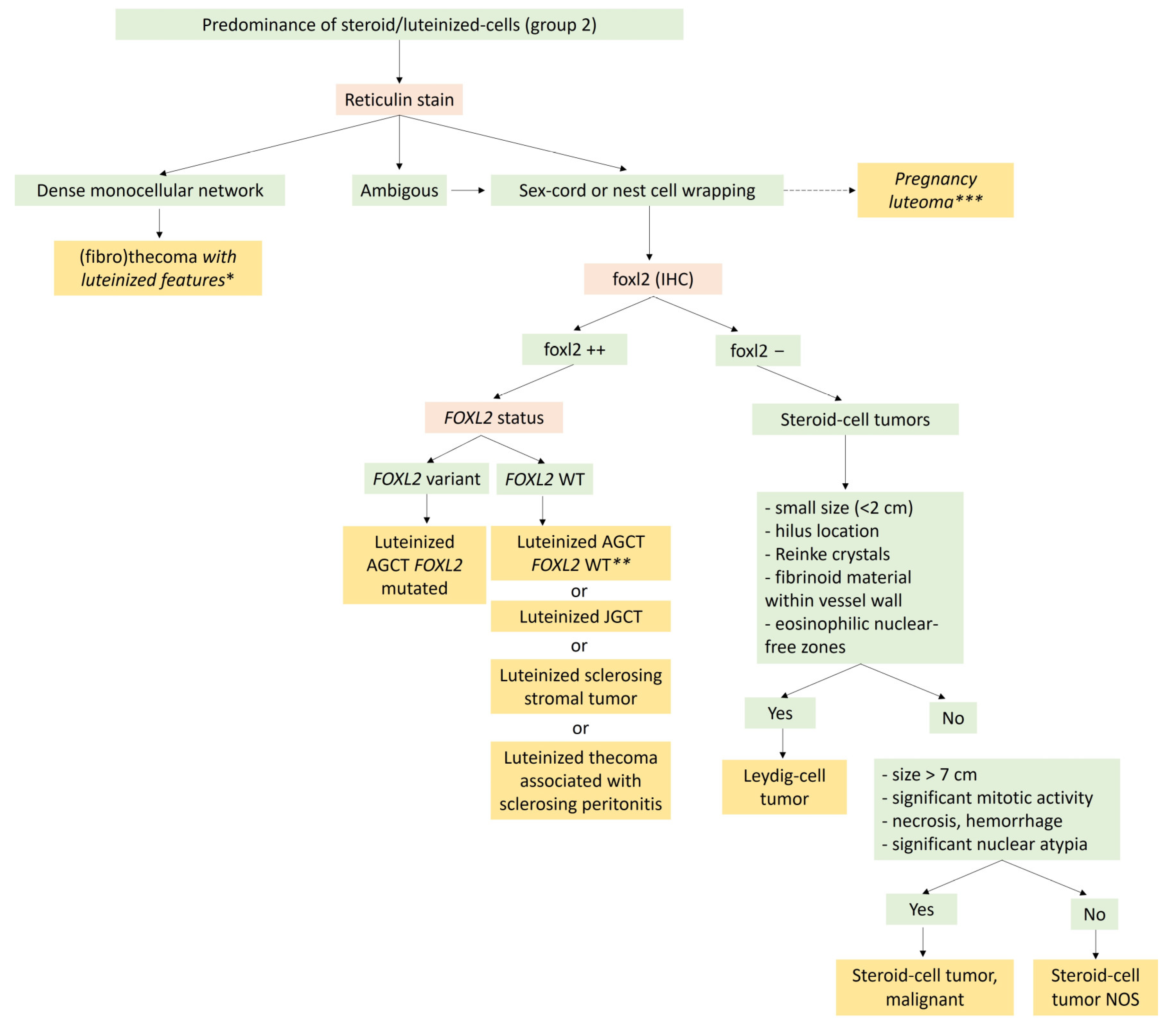 Cancers 15 05864 g008 Cancers 15 05864 g008