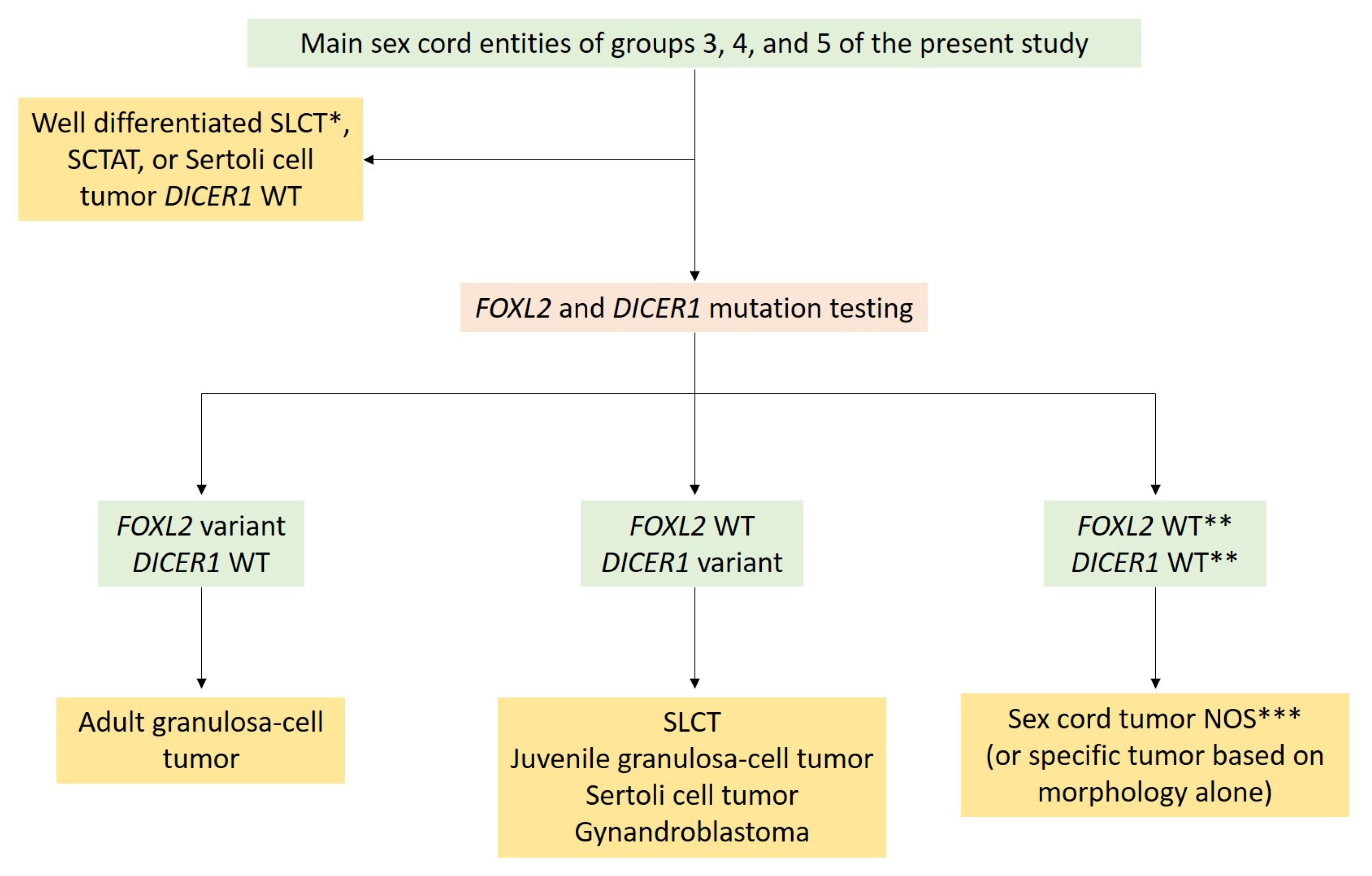 Cancers 15 05864 g012 Cancers 15 05864 g012