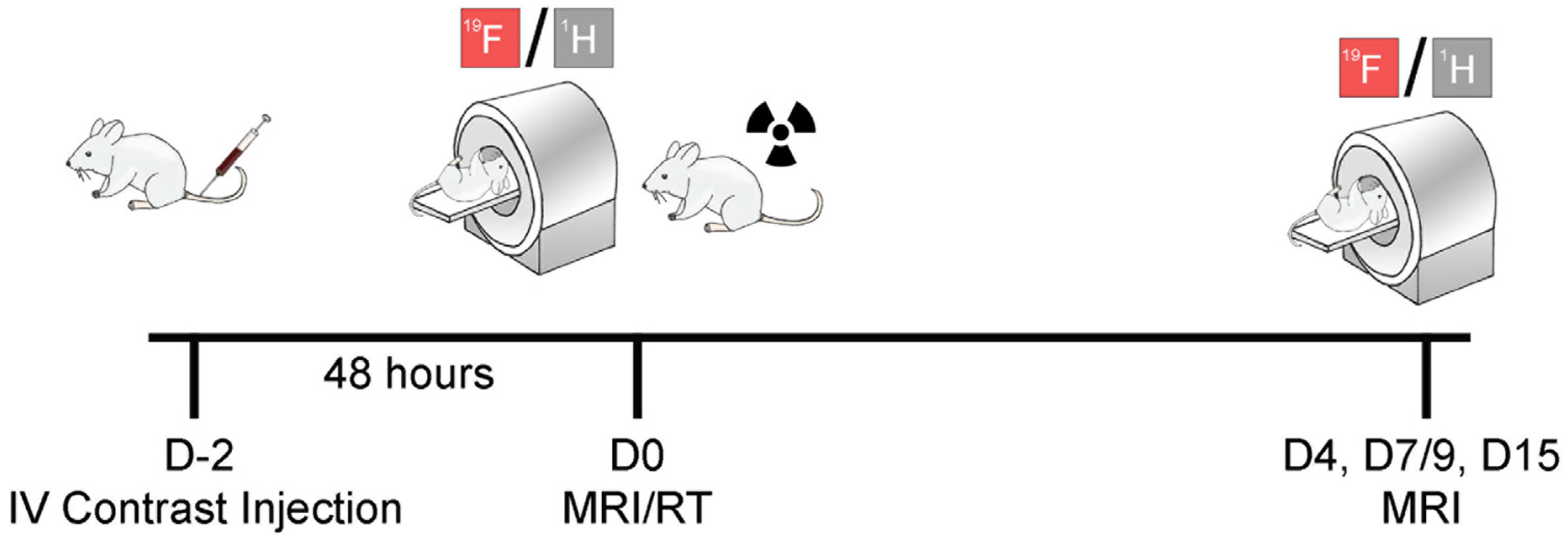 Cancers 15 05874 g001