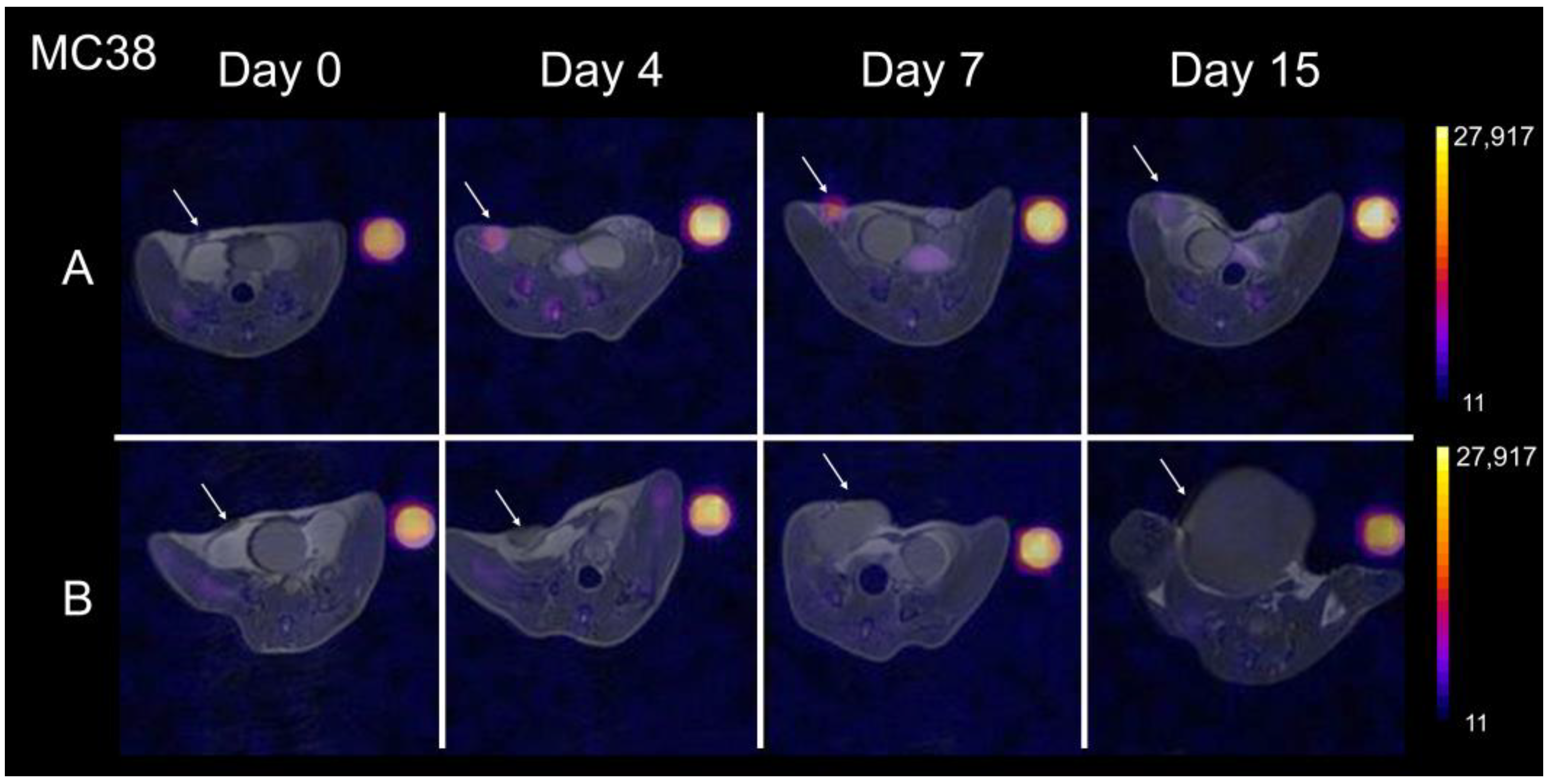 Cancers 15 05874 g002