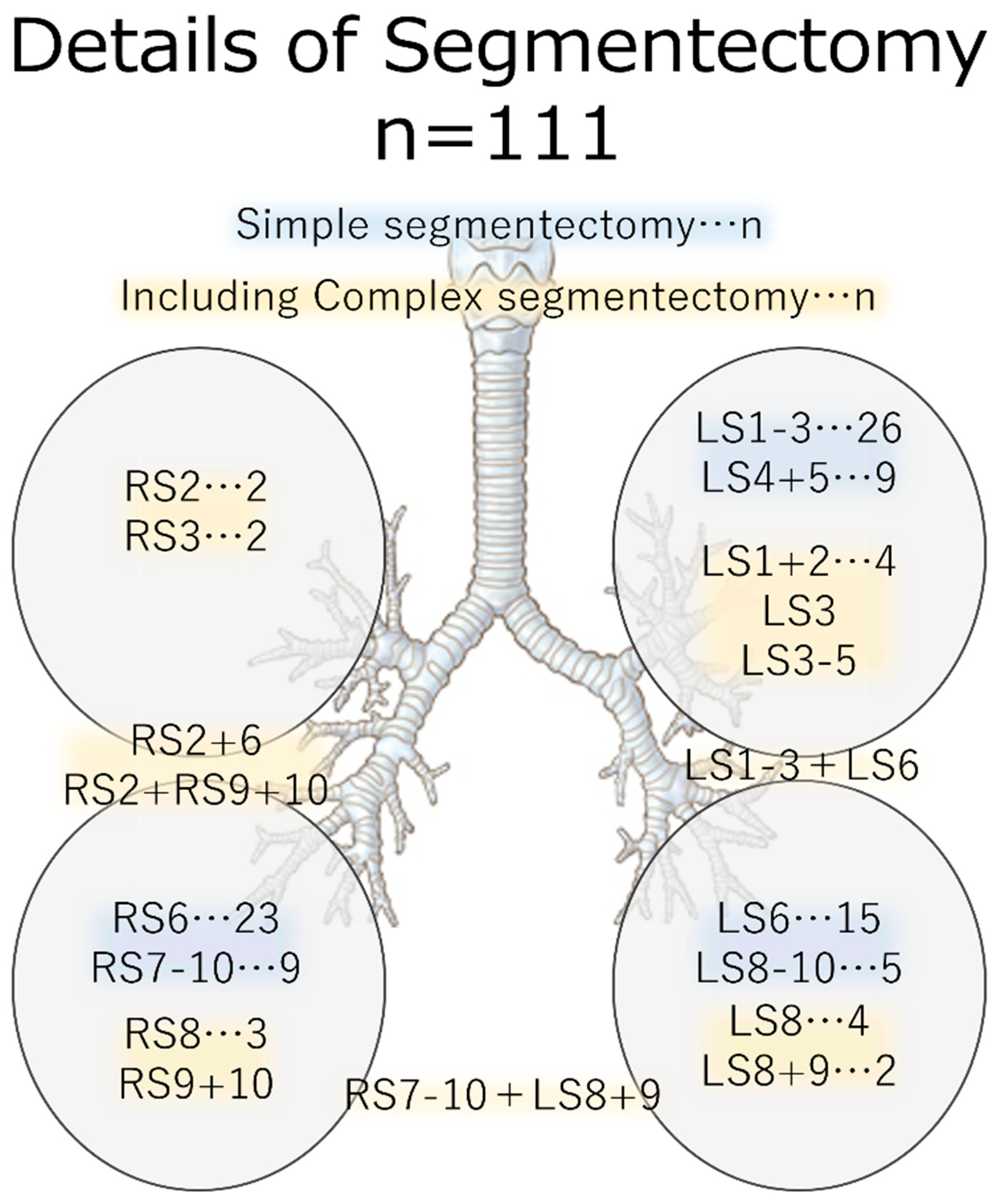 Cancers 15 05876 g002