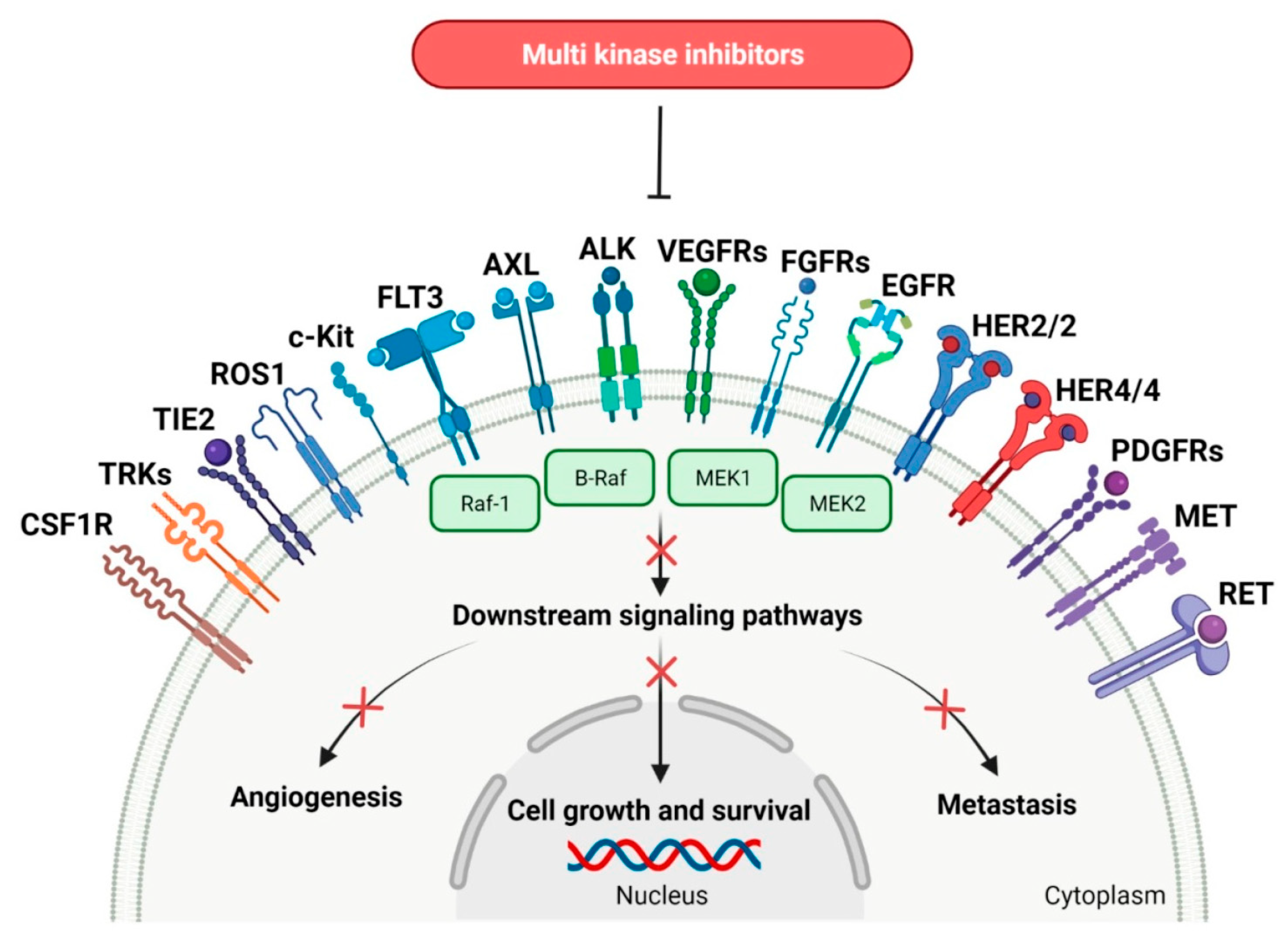 Cancers 15 05886 g001 Cancers 15 05886 g001