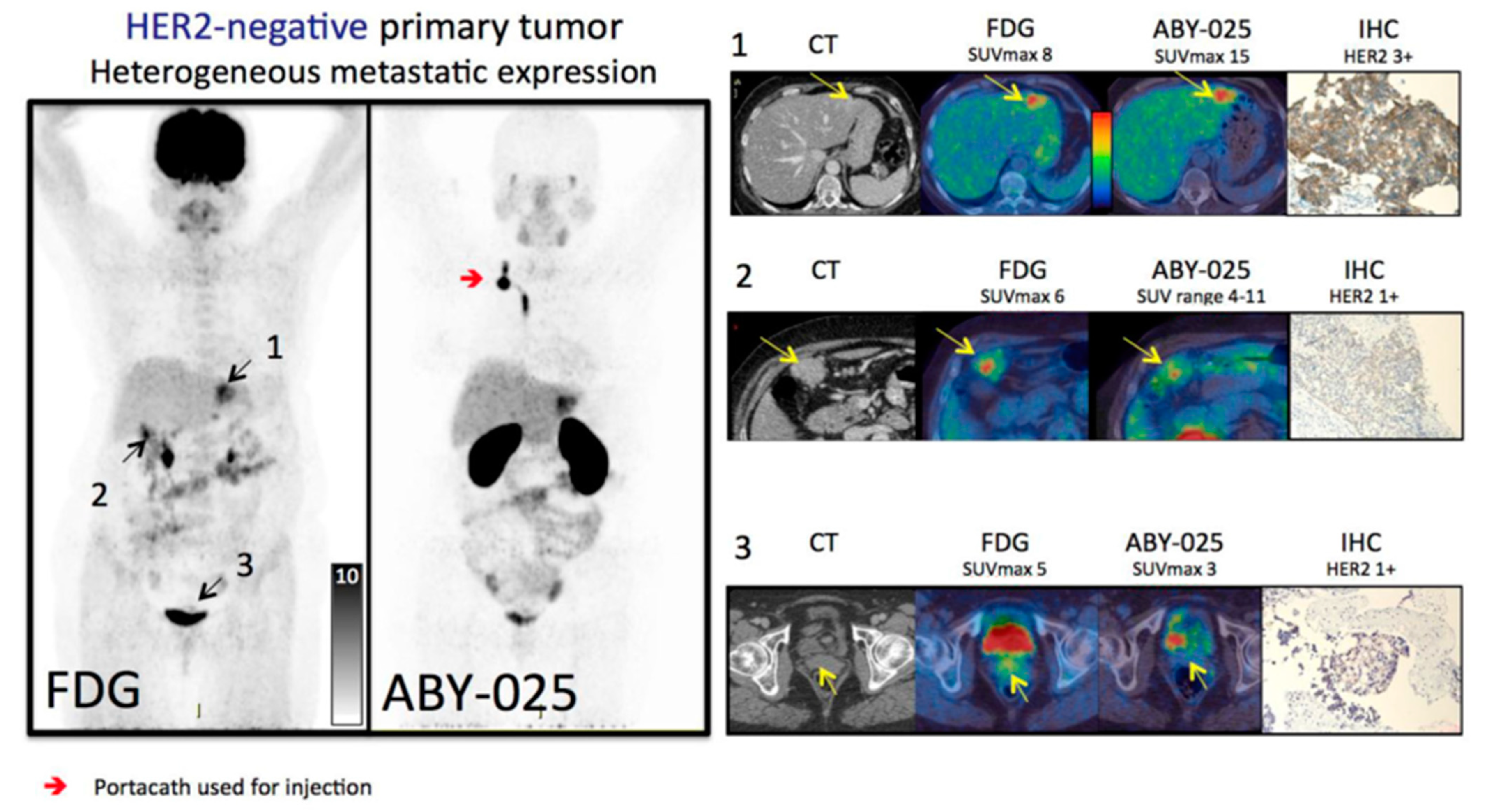 Cancers 15 05886 g003 Cancers 15 05886 g003