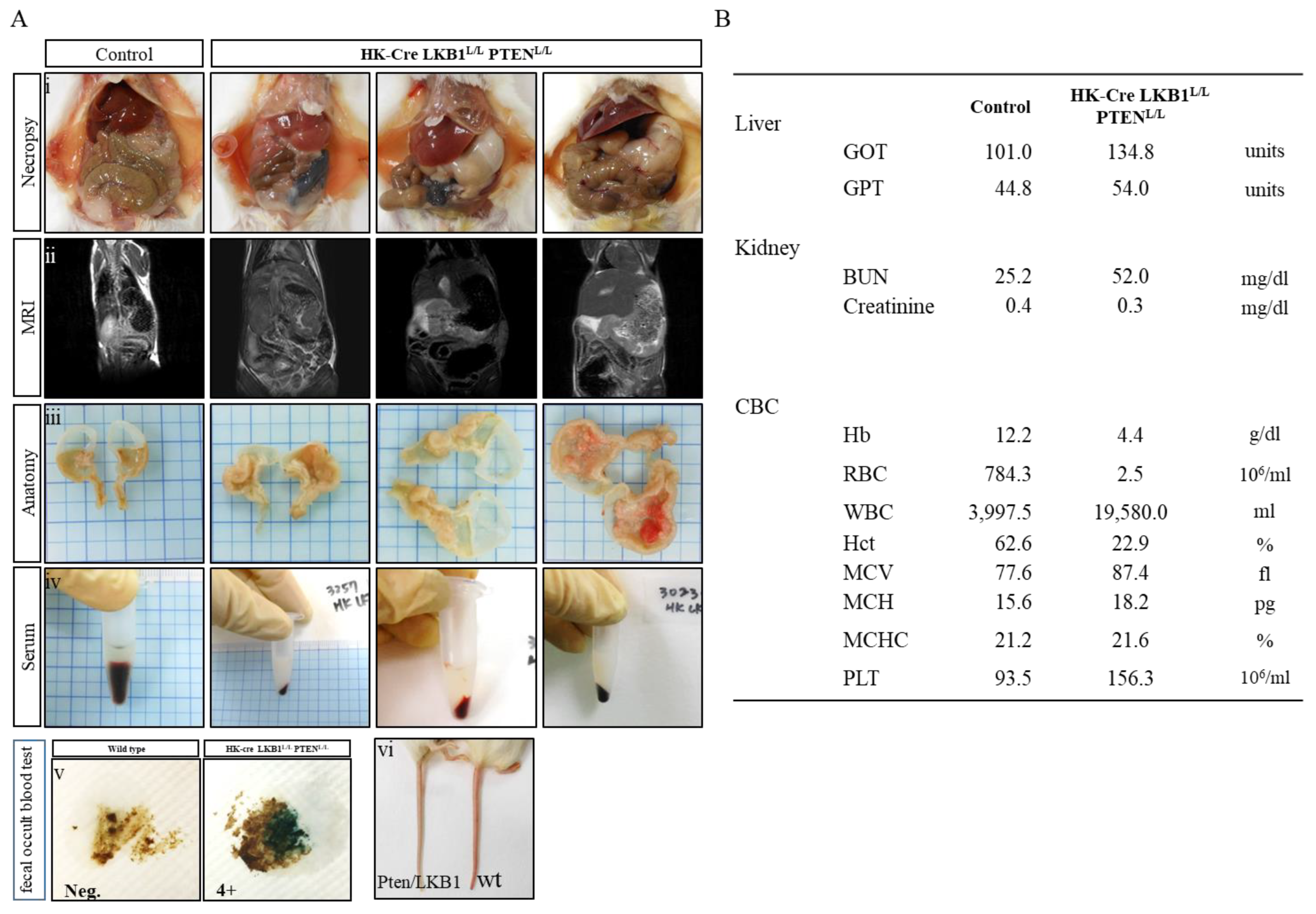 Cancers 15 05893 g002