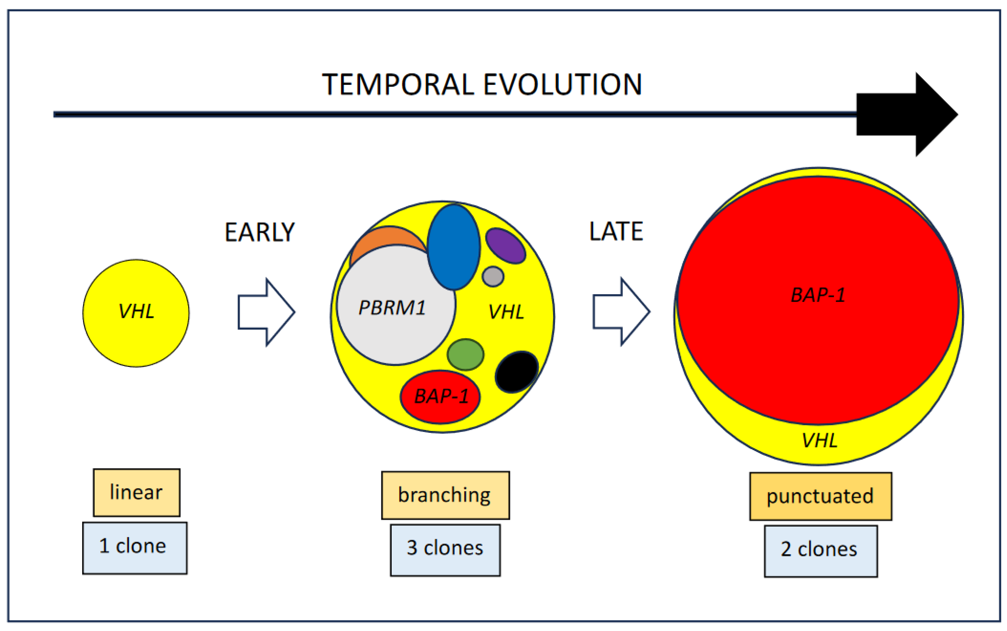 Cancers 15 05897 g001