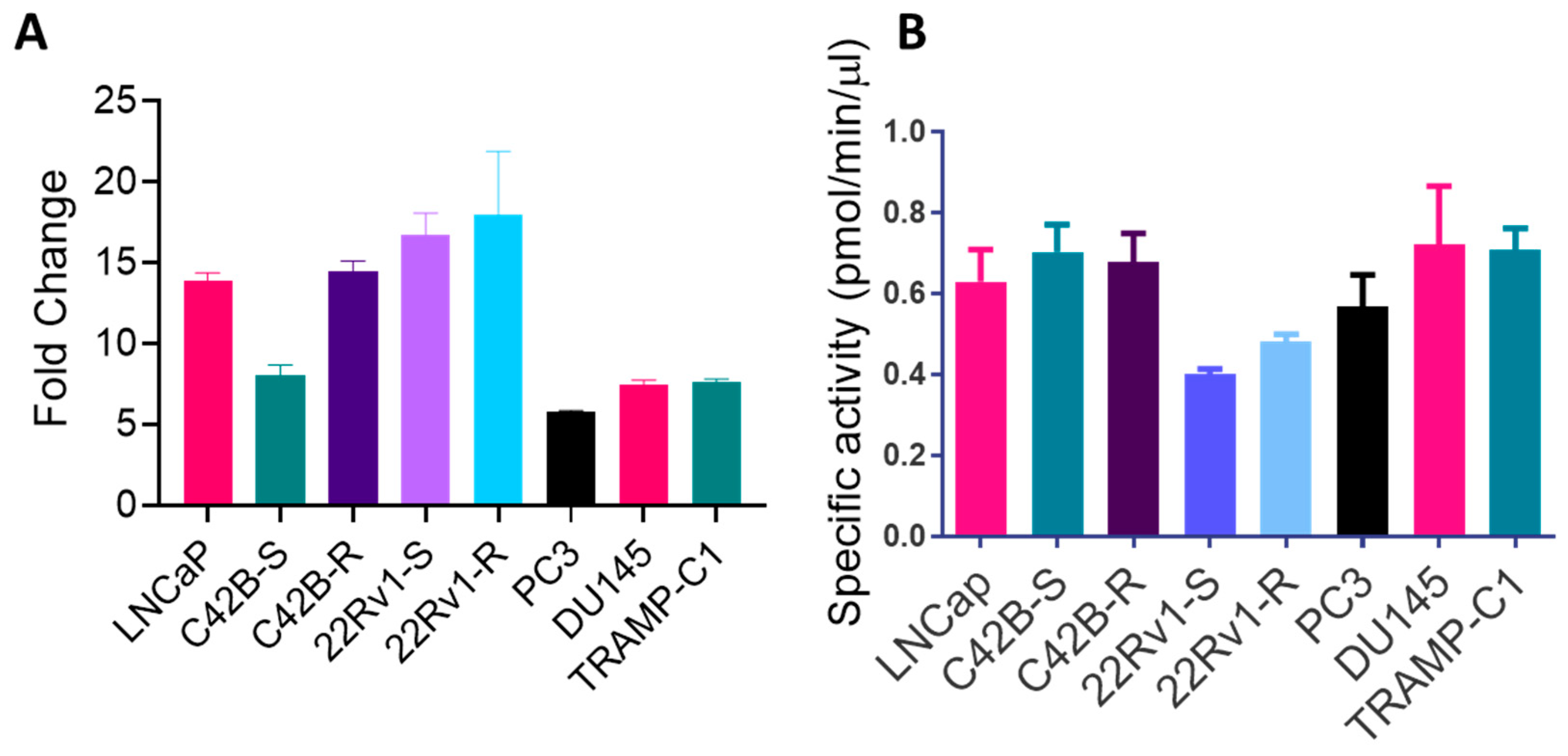 Cancers 16 00010 g002