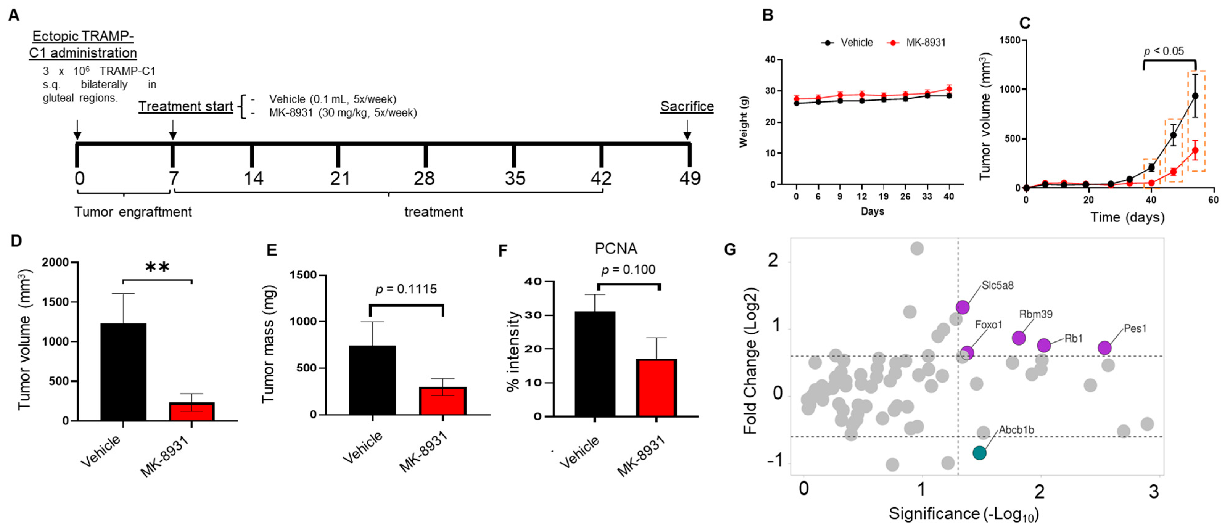 Cancers 16 00010 g007