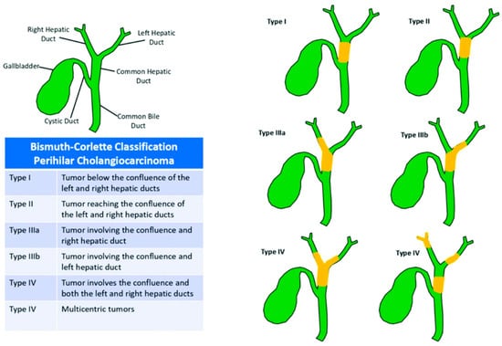 Cancers 16 00030 g001