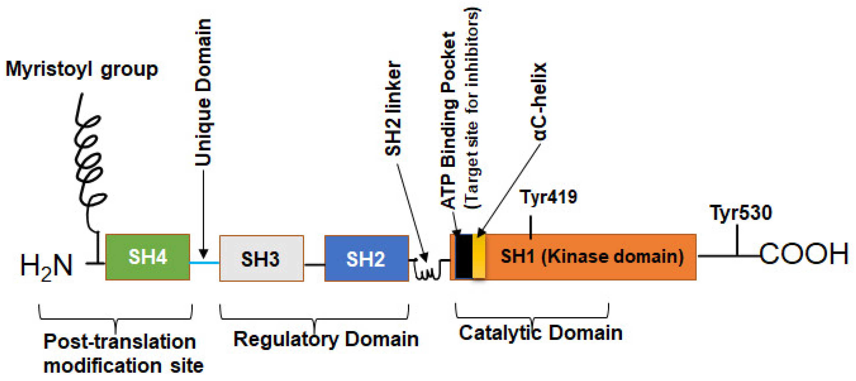 Cancers 16 00032 g001