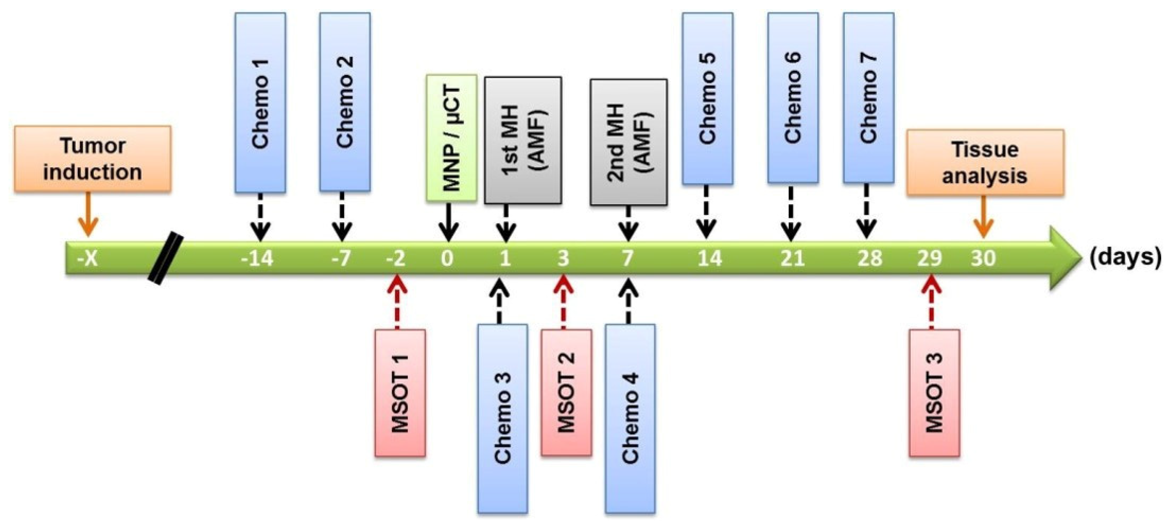 Cancers 16 00033 g001