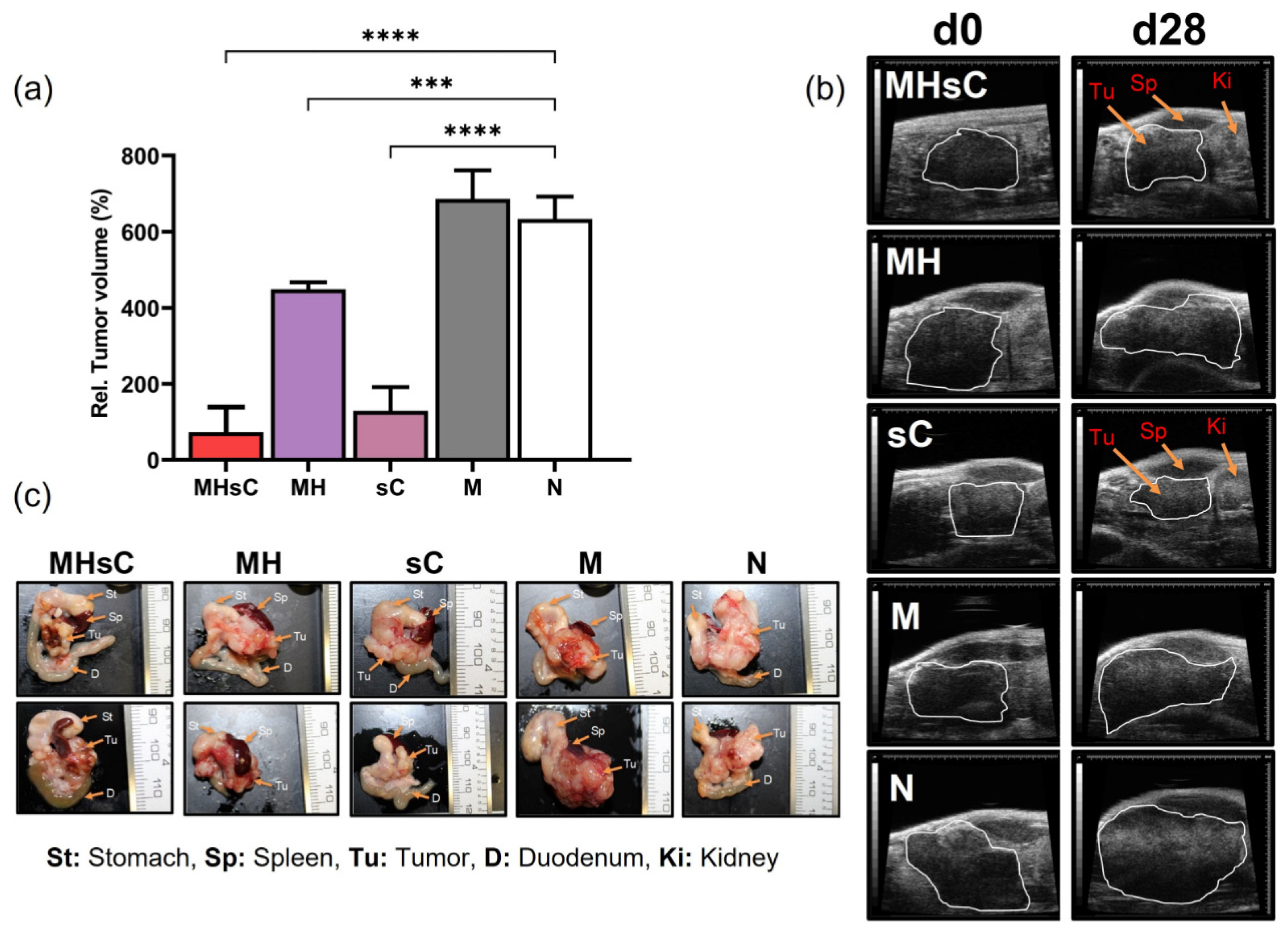 Cancers 16 00033 g002