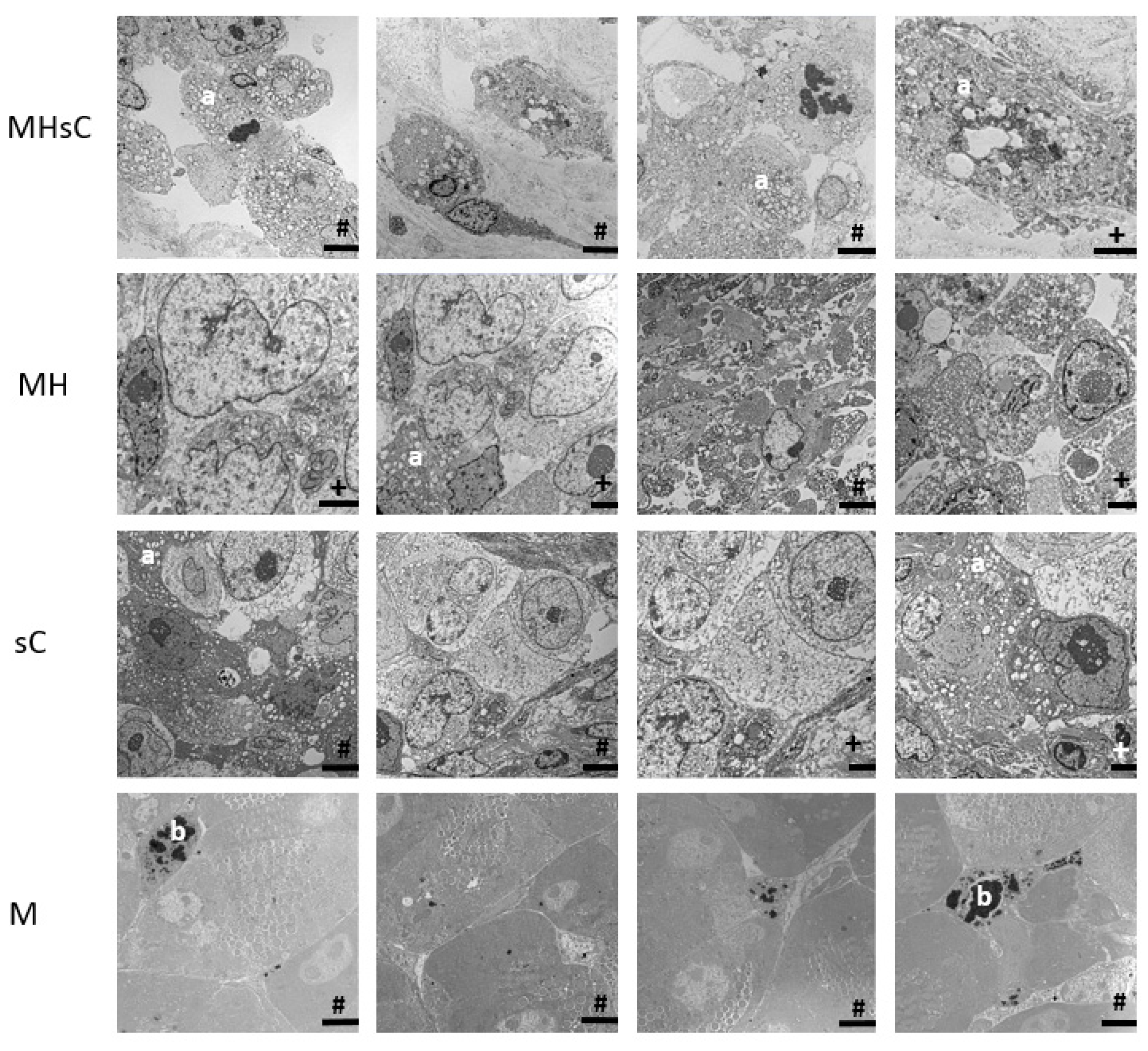 Cancers 16 00033 g003