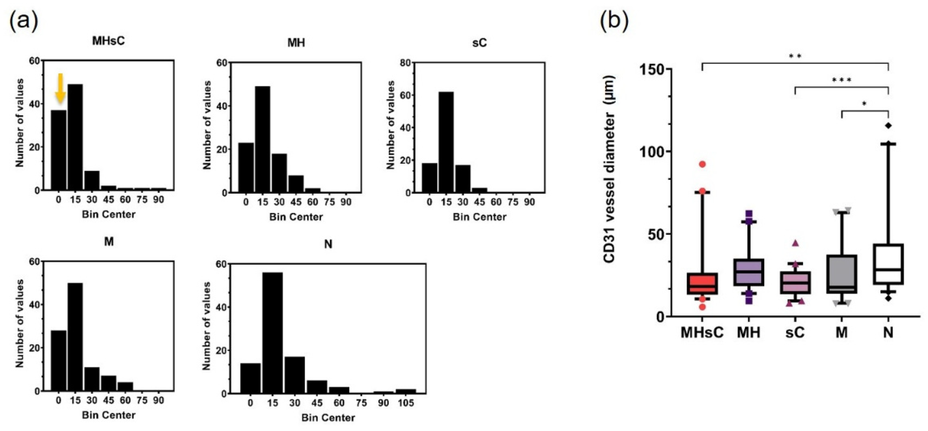 Cancers 16 00033 g006