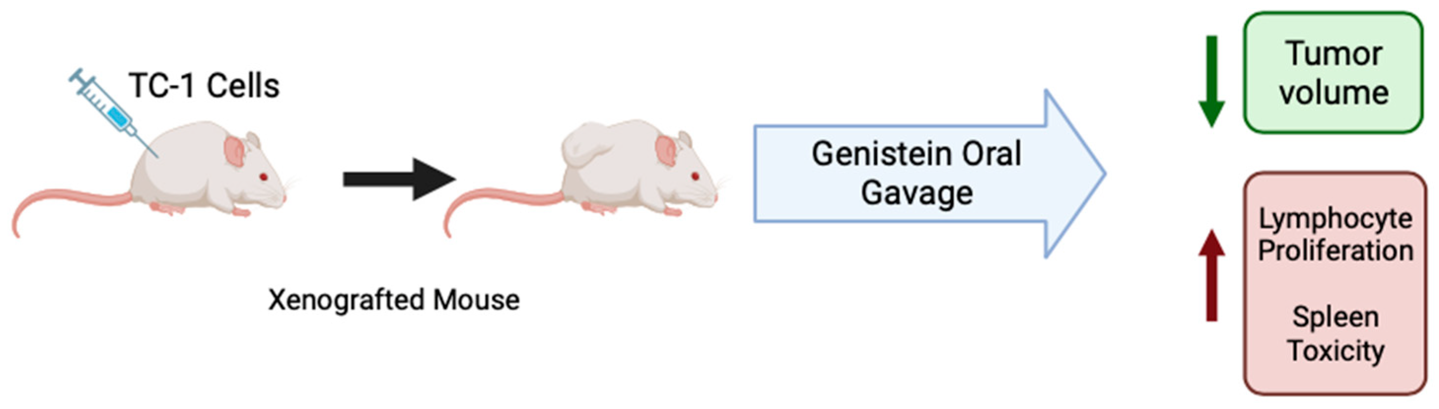 Cancers 16 00035 g003