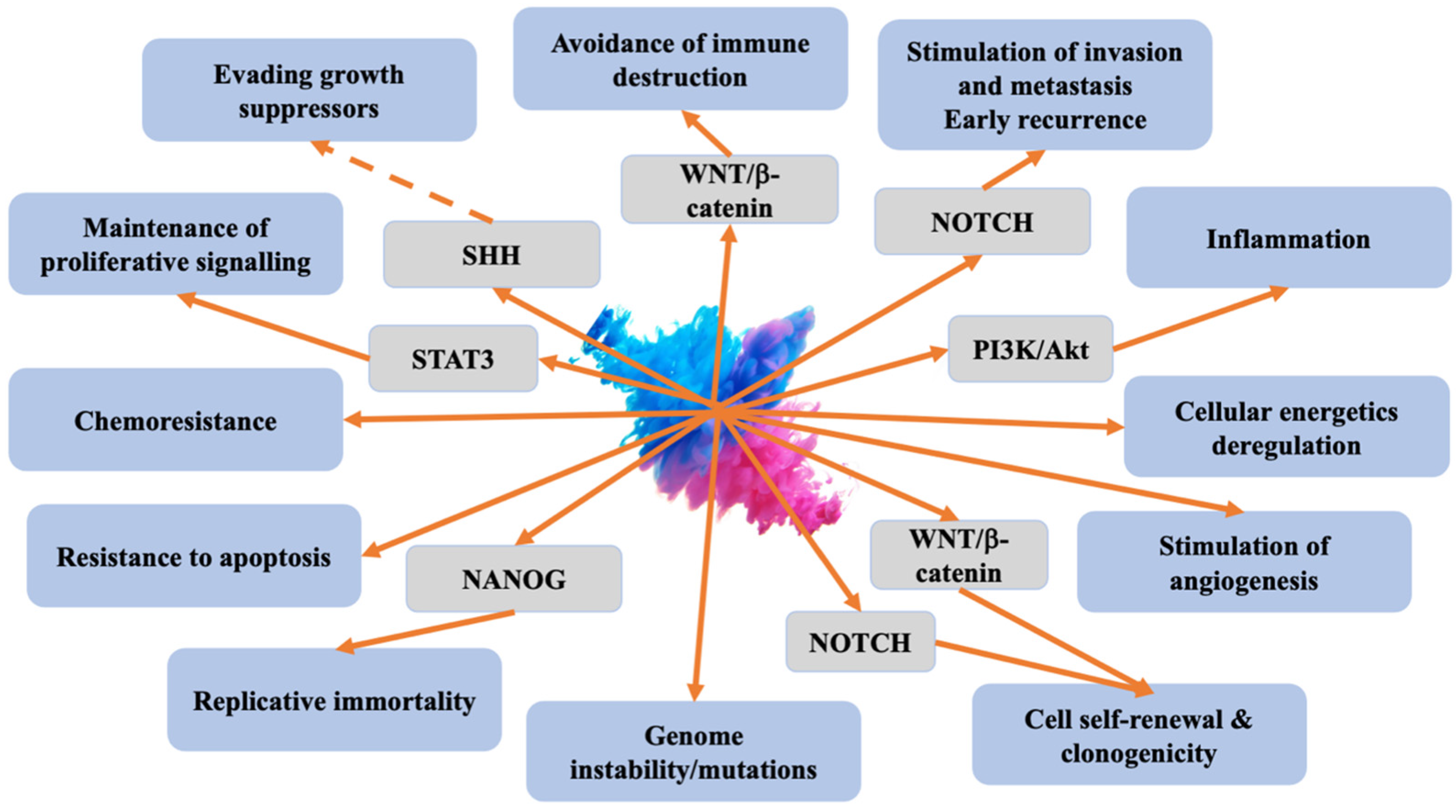 Cancers 16 00040 g001
