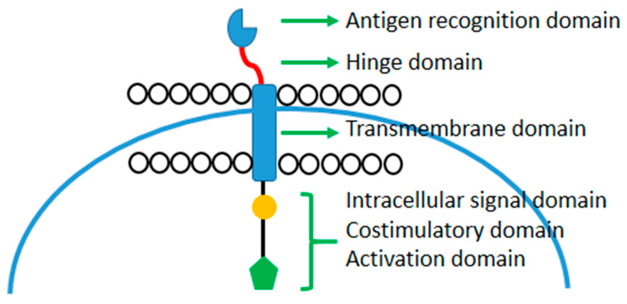 Cancers 16 00042 g001