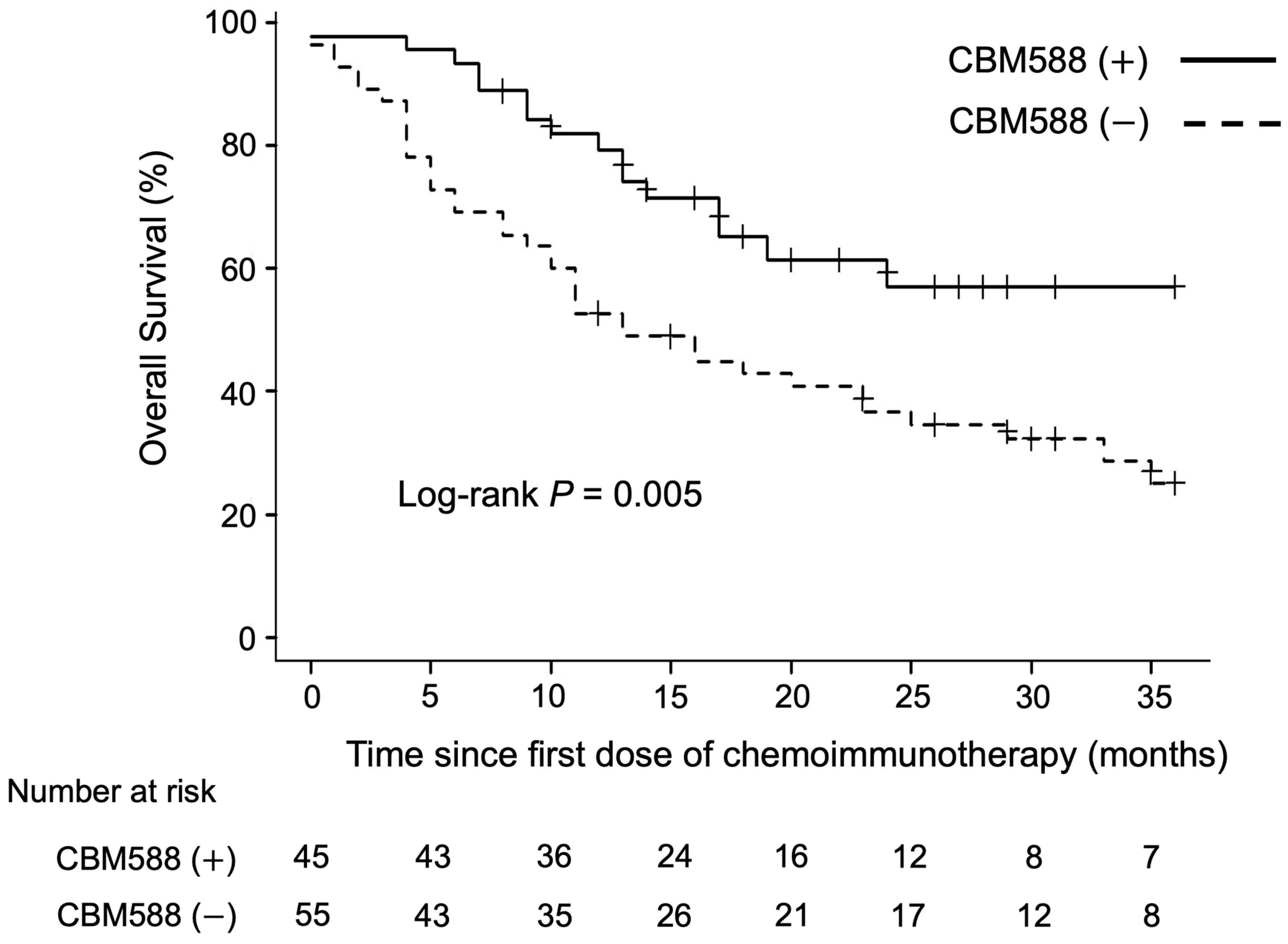 Cancers 16 00047 g001