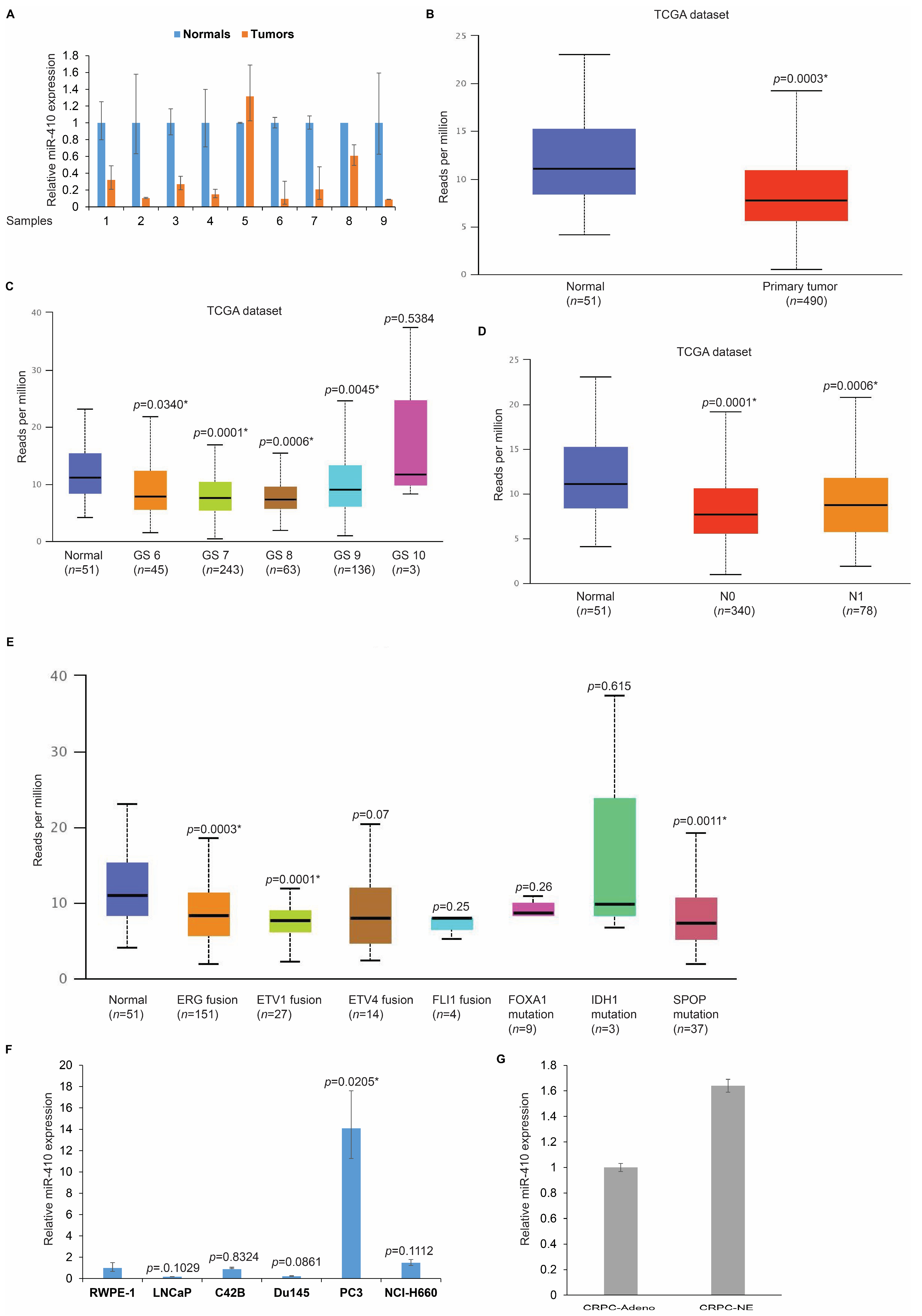 Cancers 16 00048 g001