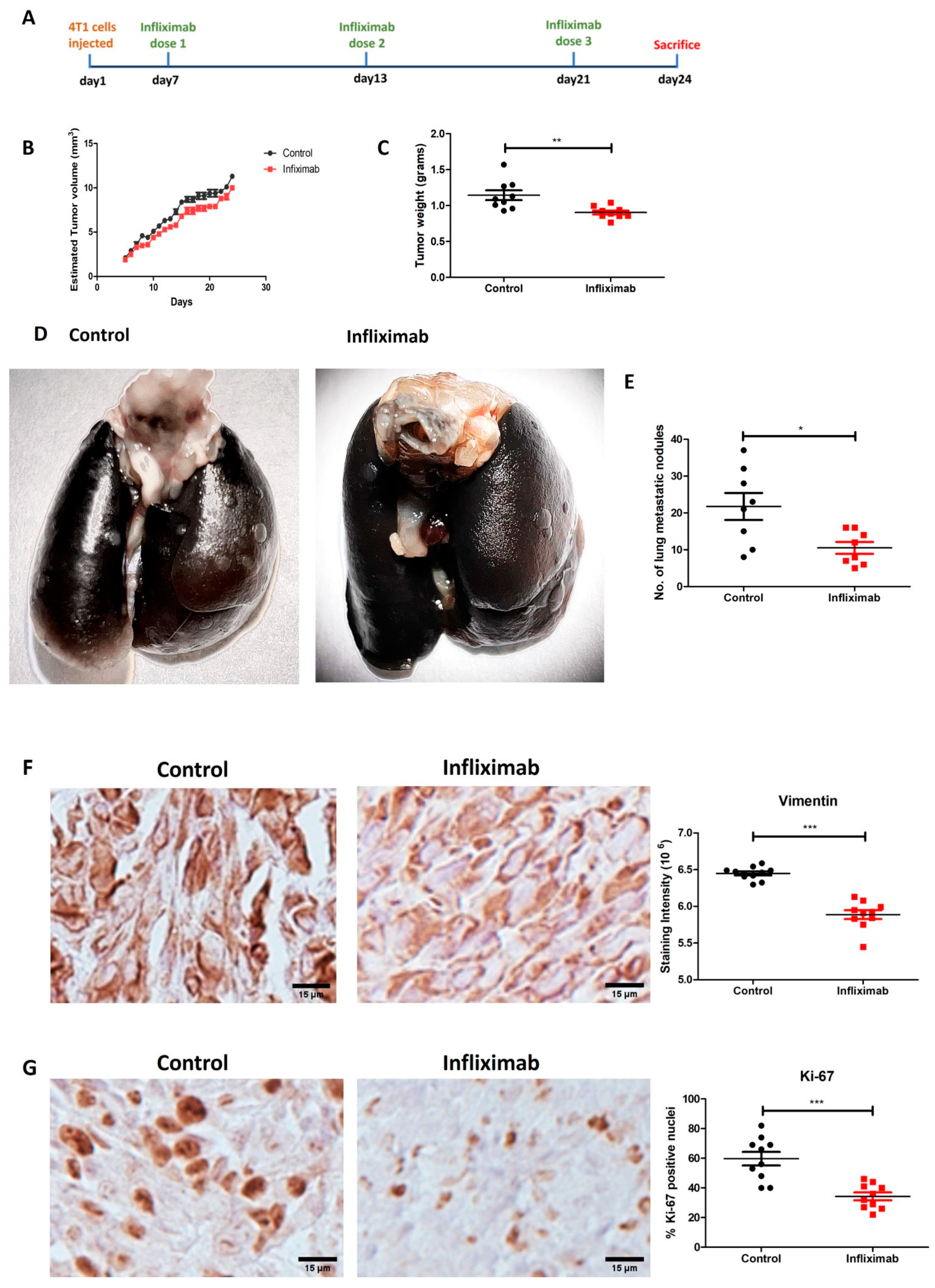 Cancers 16 00052 g001 Cancers 16 00052 g001