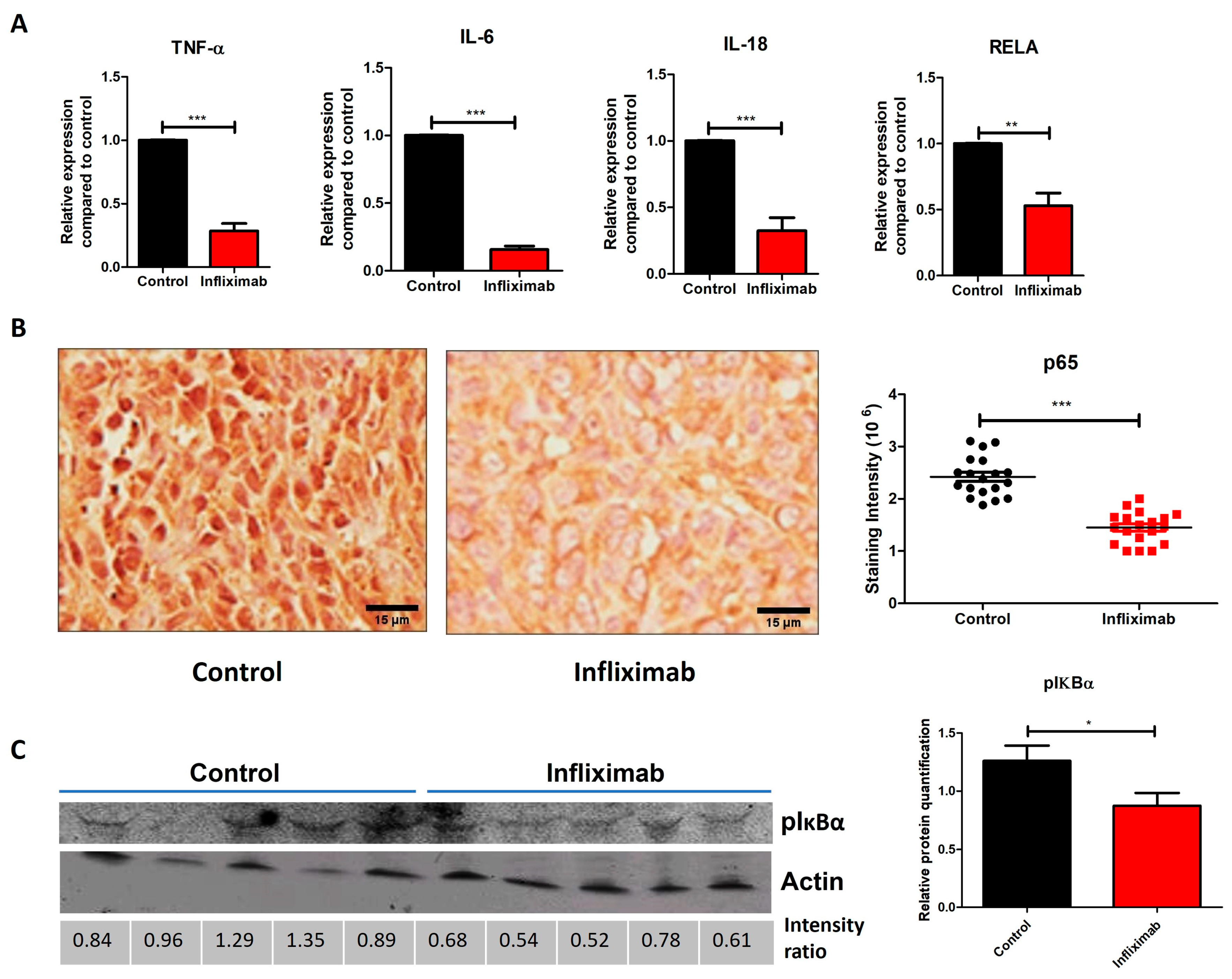Cancers 16 00052 g003 Cancers 16 00052 g003