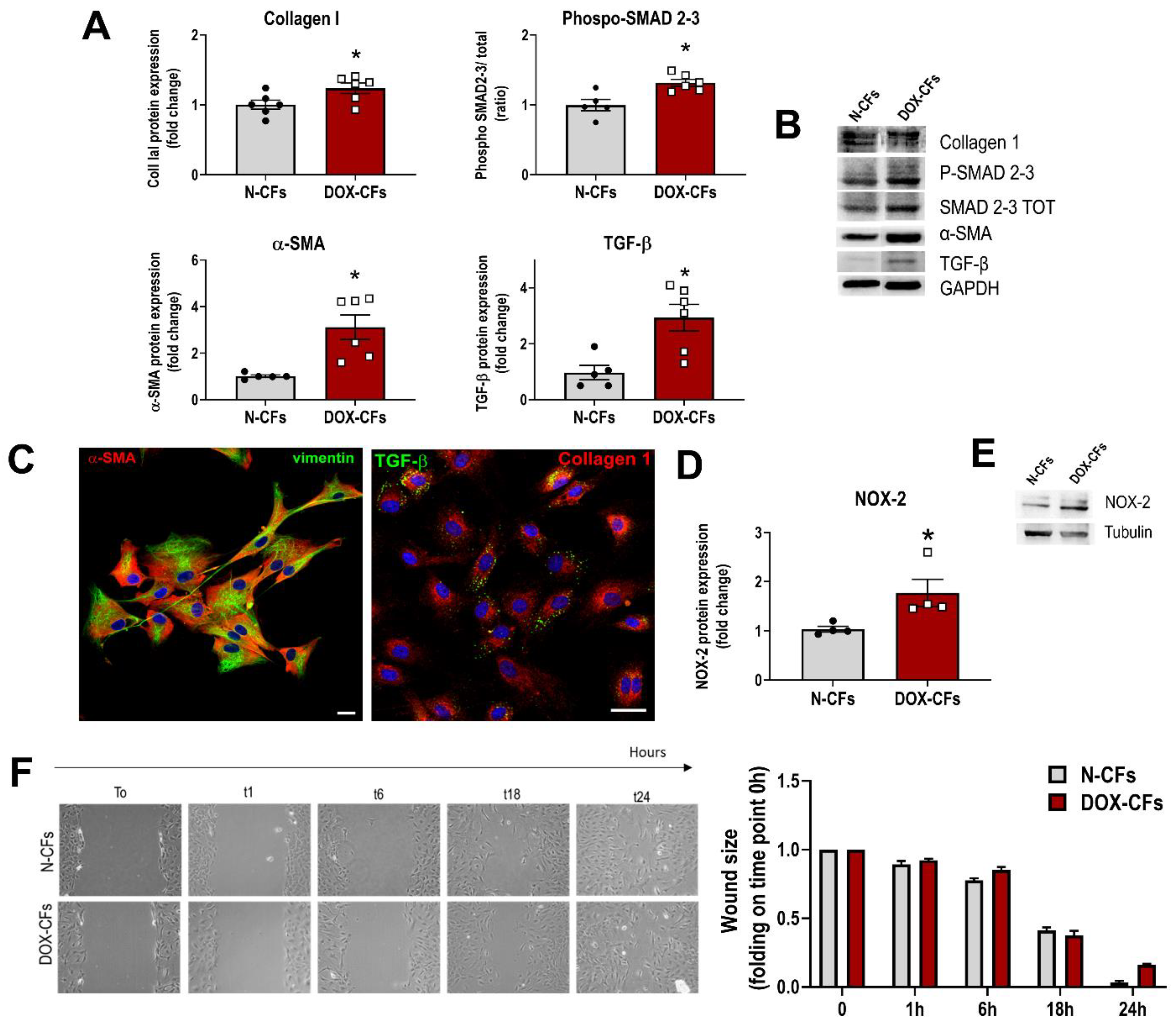 Cancers 16 00053 g003