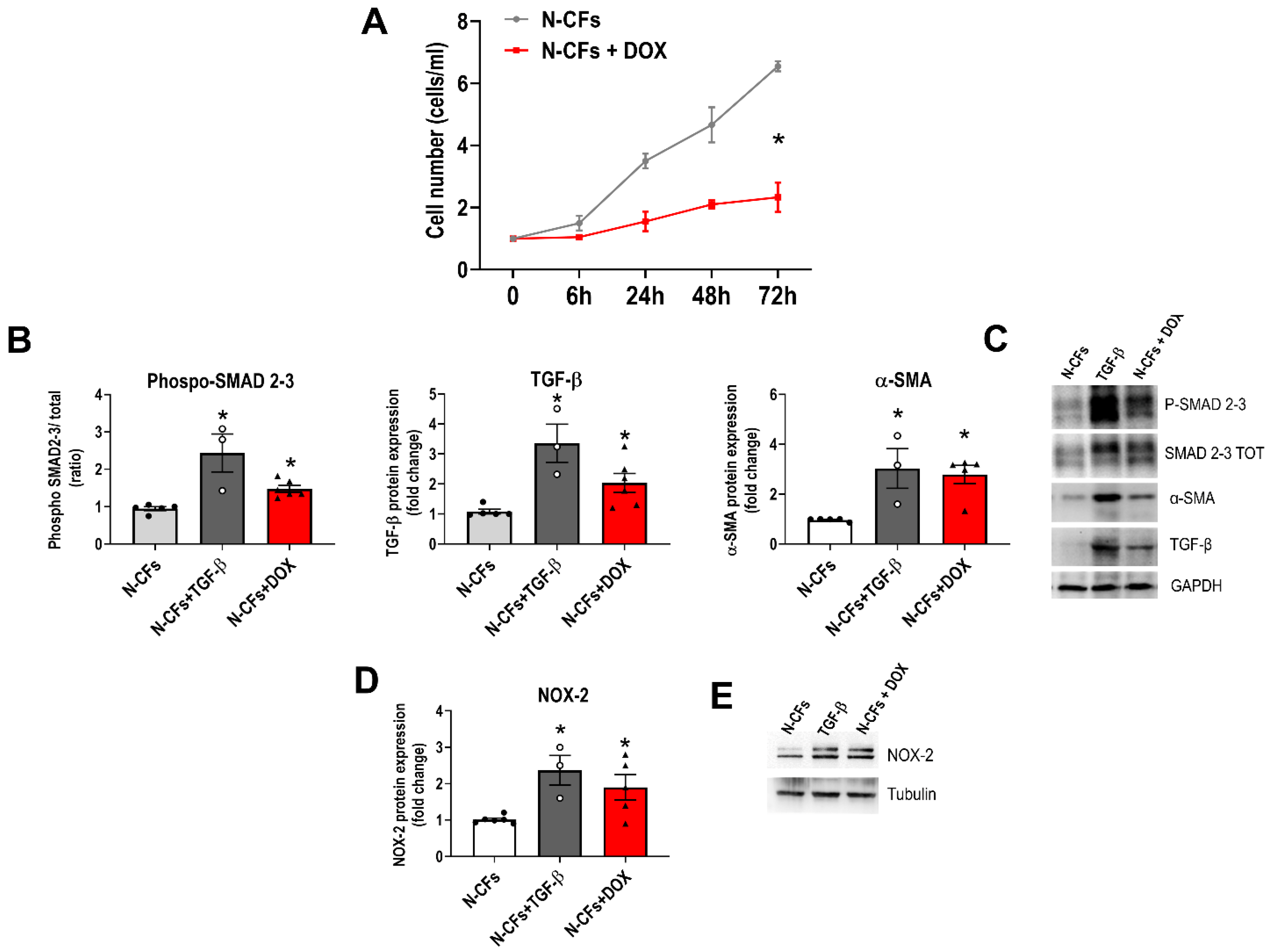 Cancers 16 00053 g004