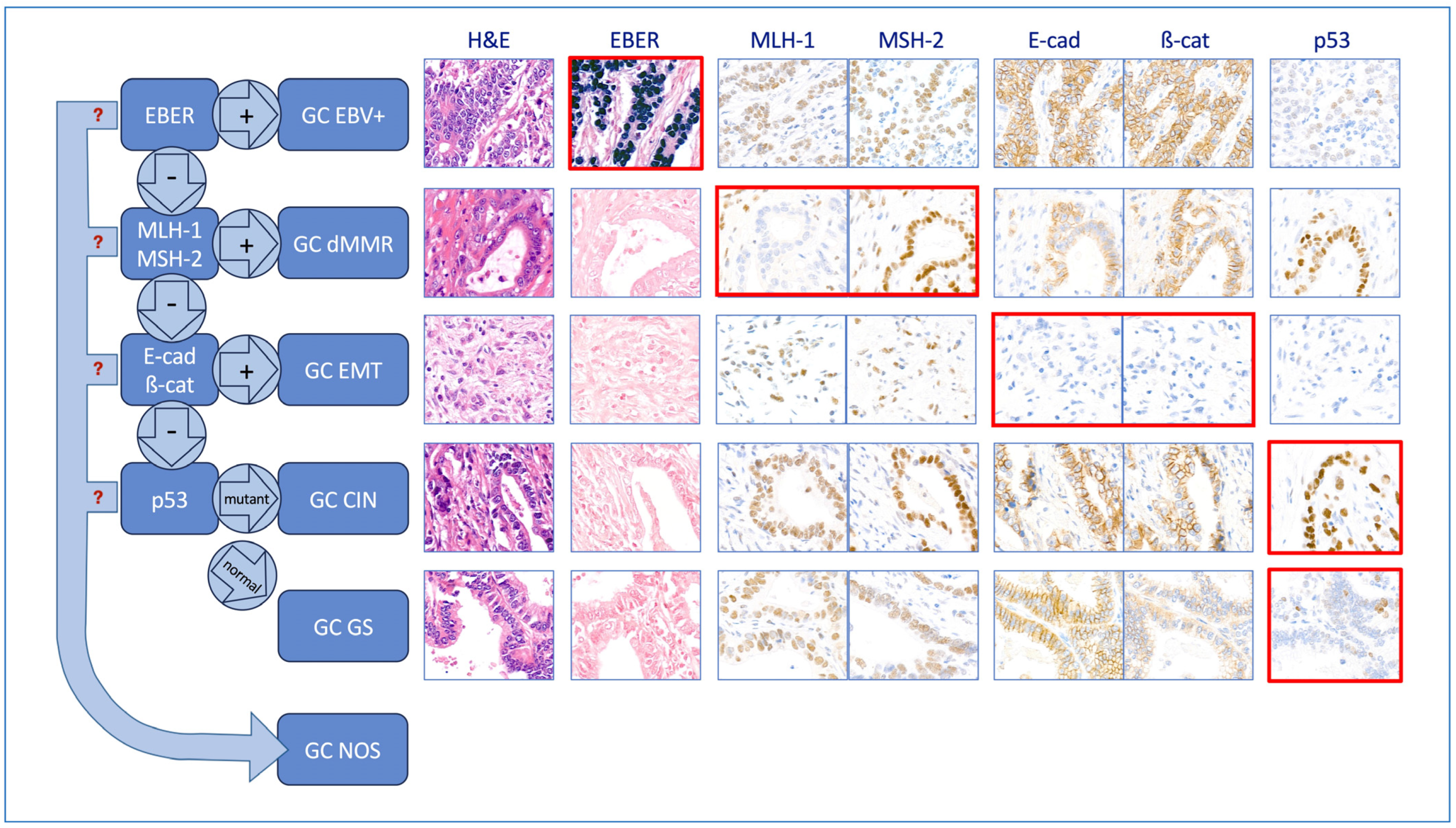 Cancers 16 00055 g001 Cancers 16 00055 g001