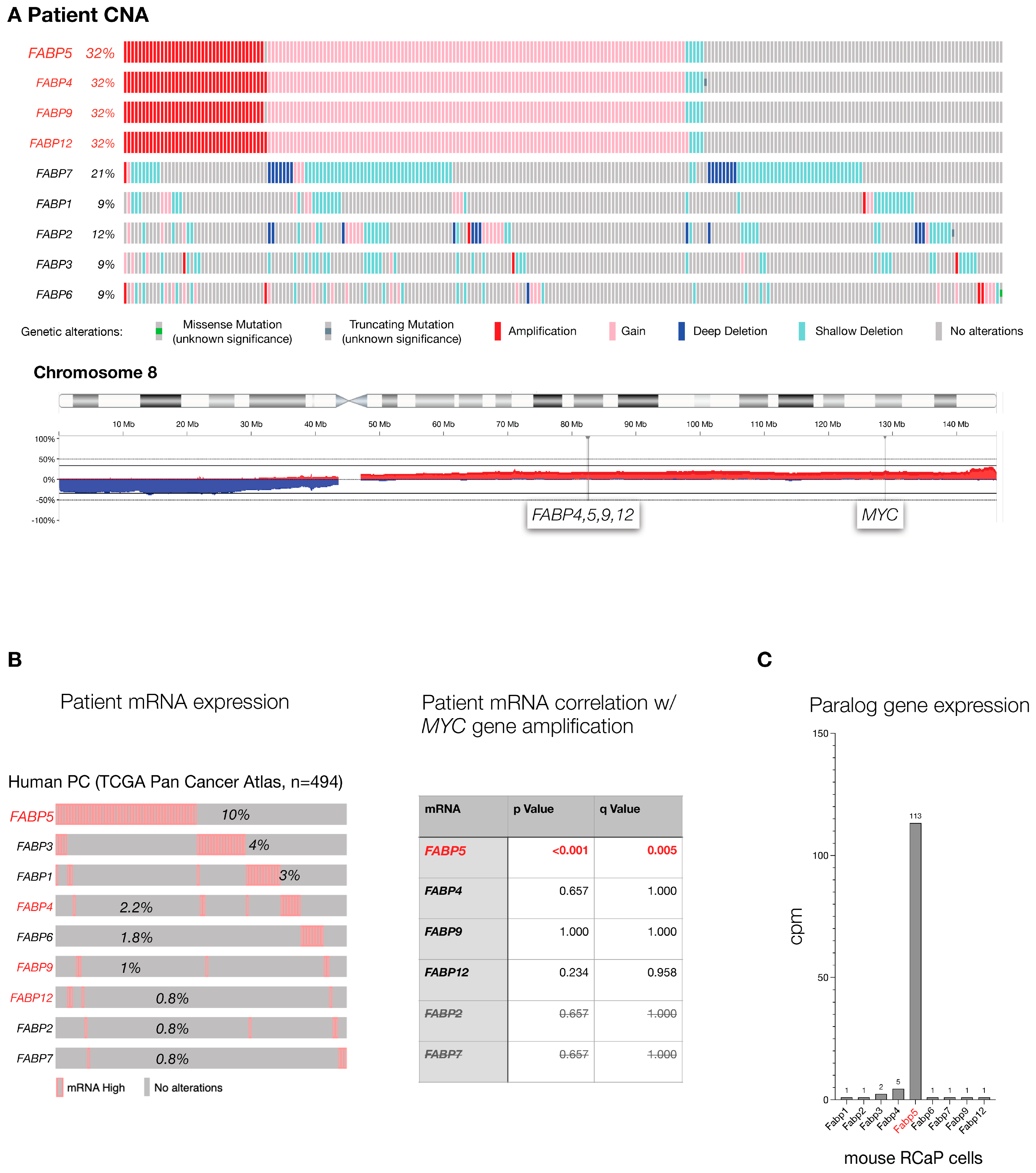 Cancers 16 00060 g001