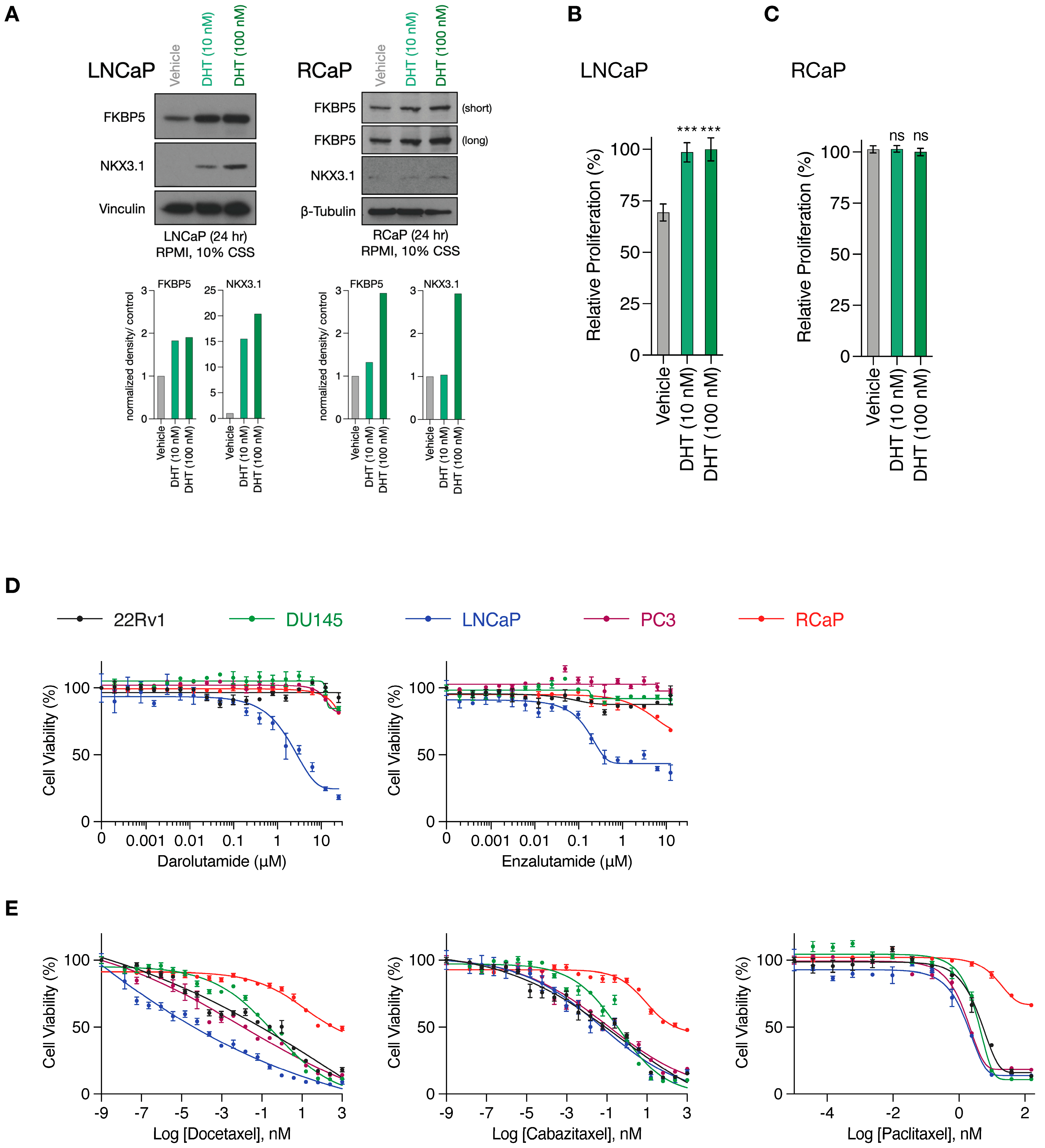 Cancers 16 00060 g002