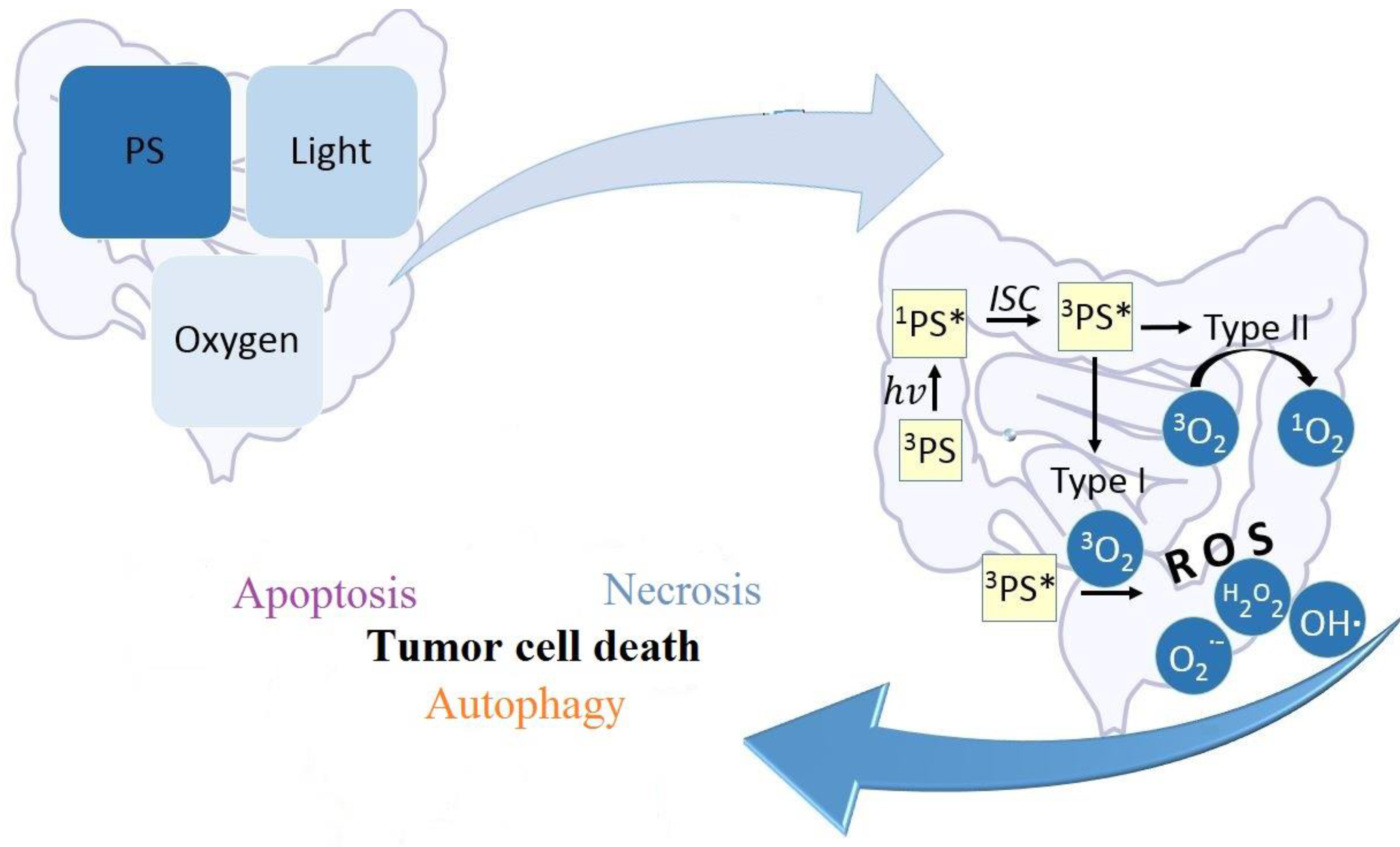 Cancers 16 00066 g001 Cancers 16 00066 g001