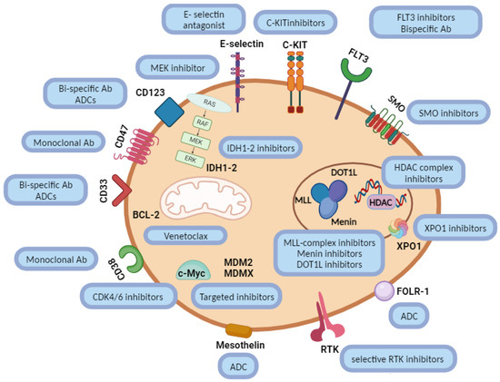 Cancers 16 00078 g002