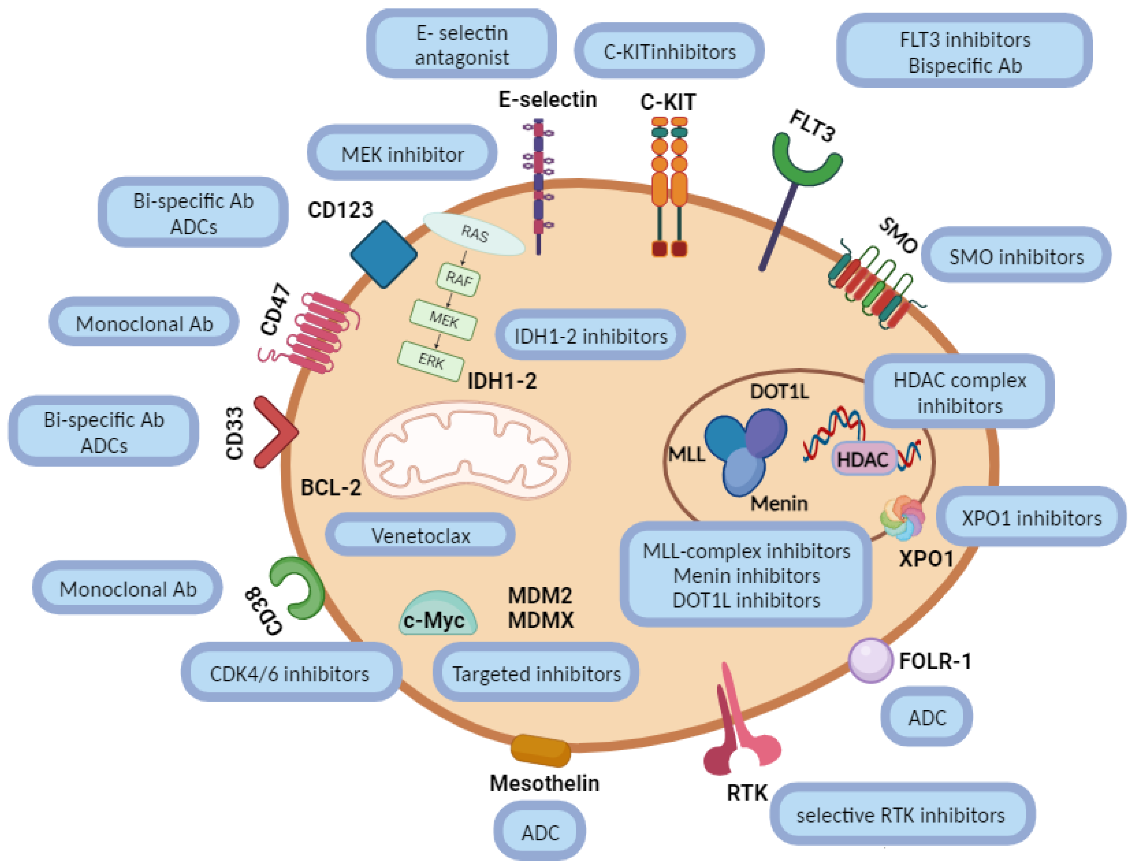 Cancers 16 00078 g002