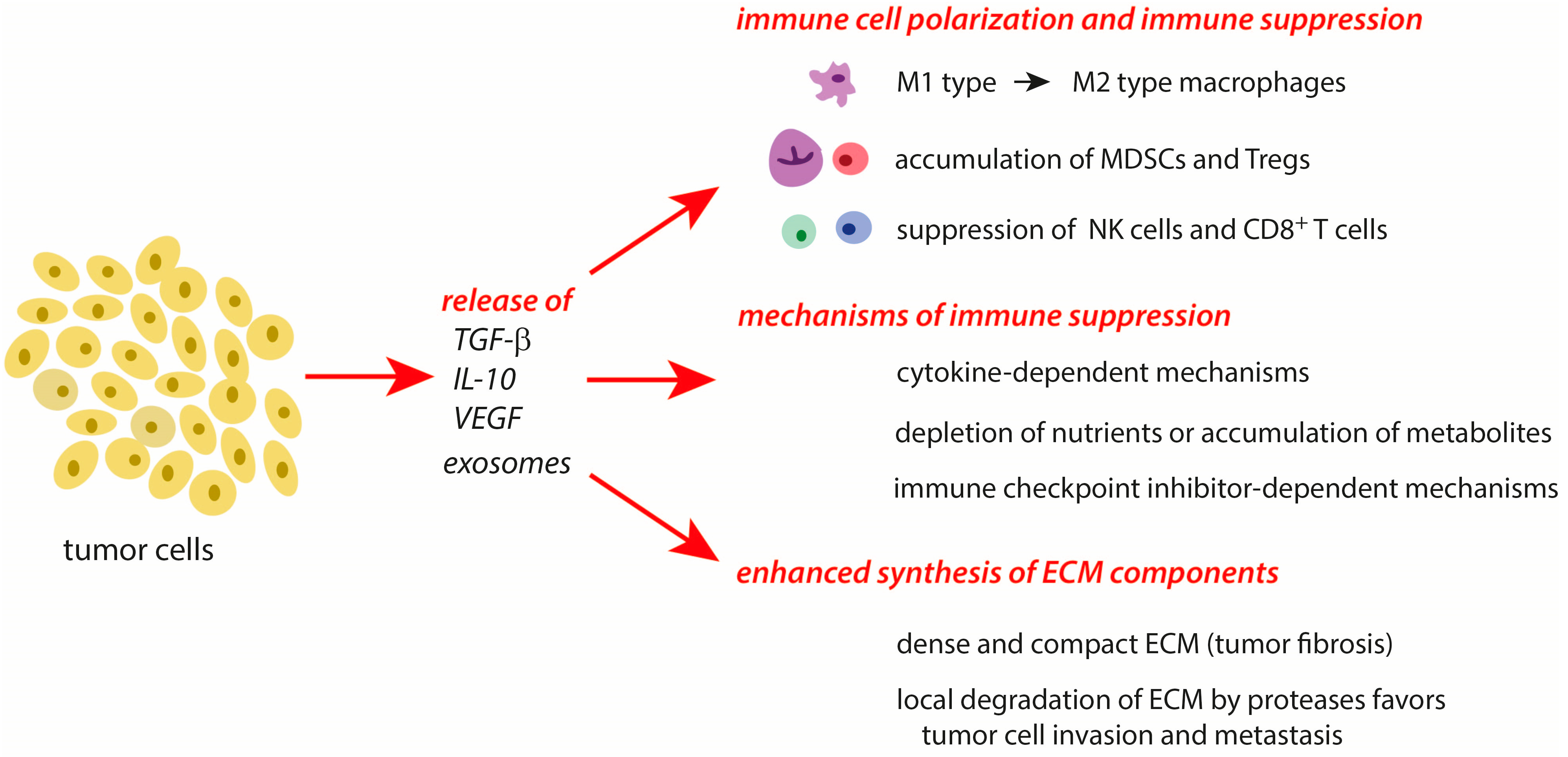 Cancers 16 00081 g002