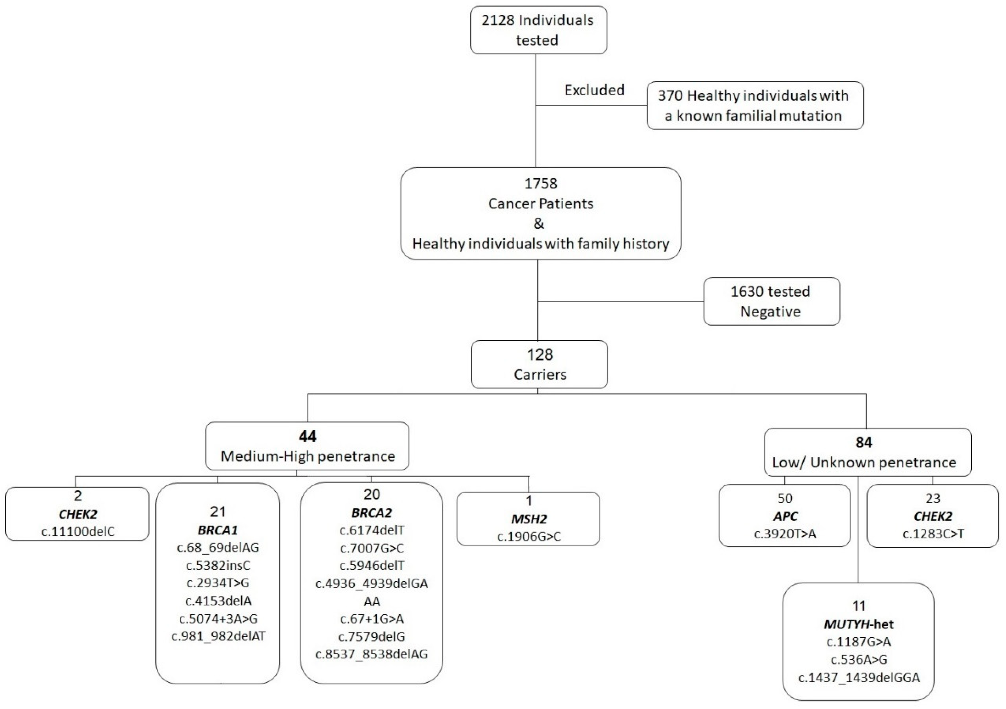 Cancers 16 00094 g001