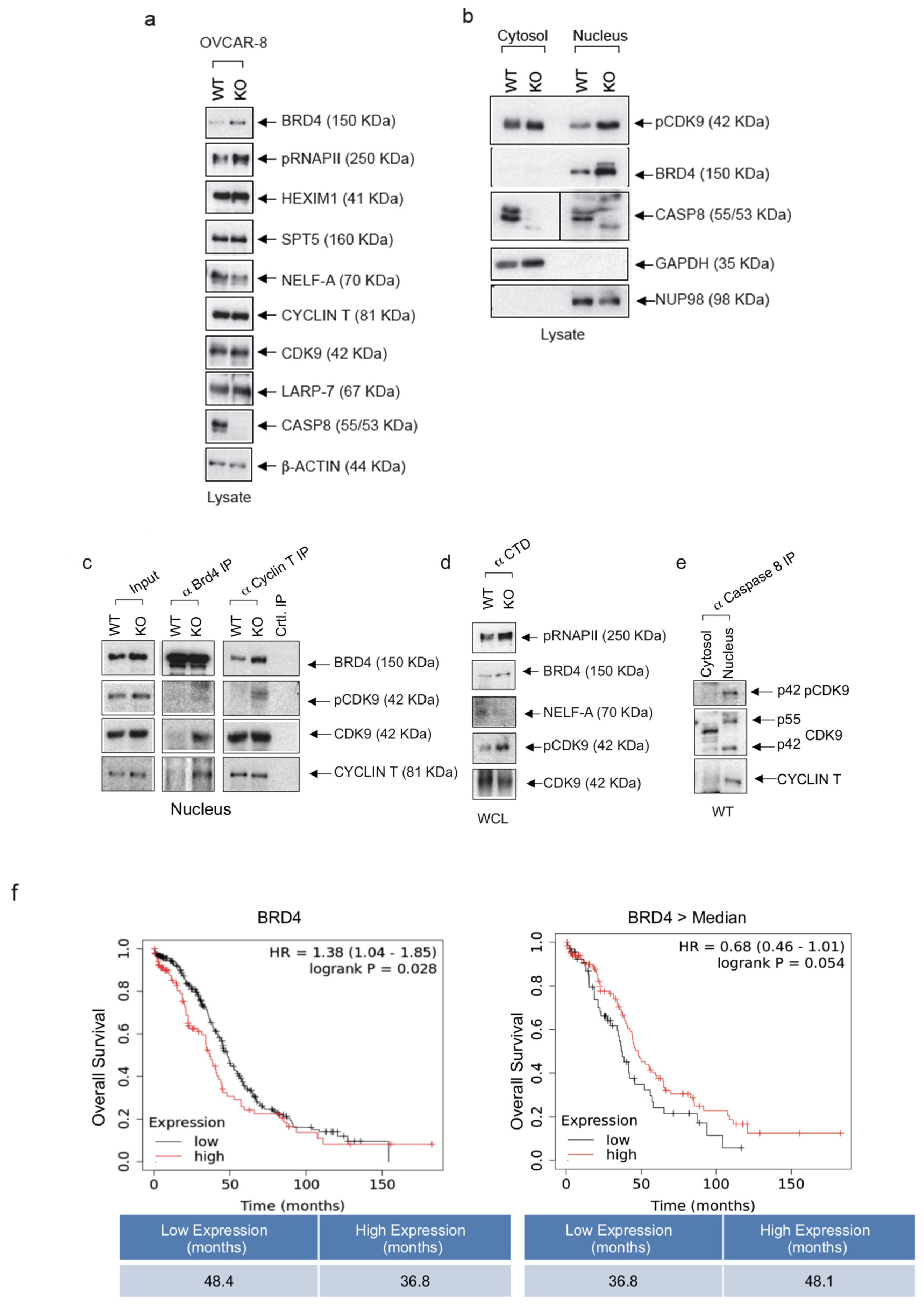 Cancers 16 00107 g003