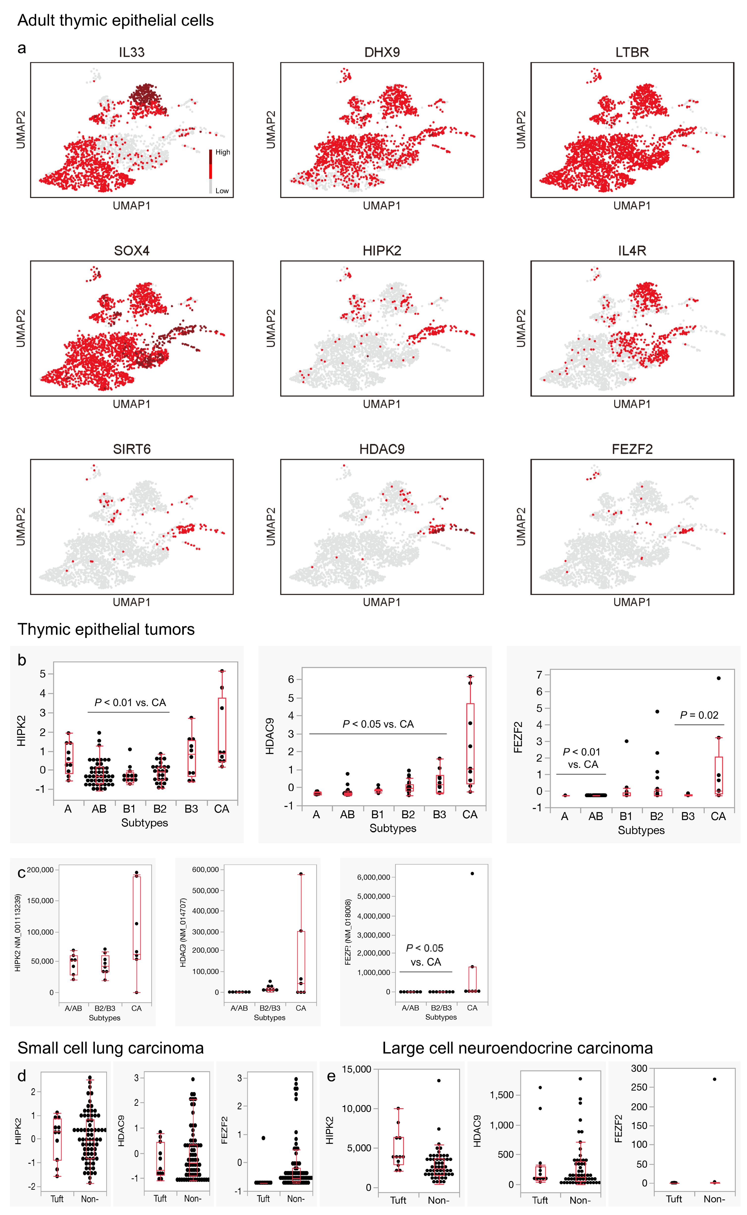 Cancers 16 00115 g005