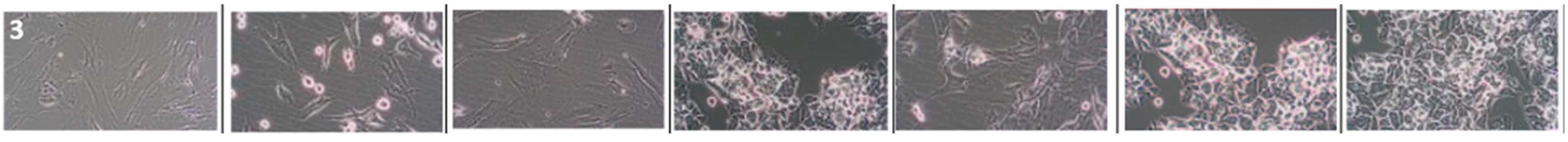 Cancers 16 00120 i003