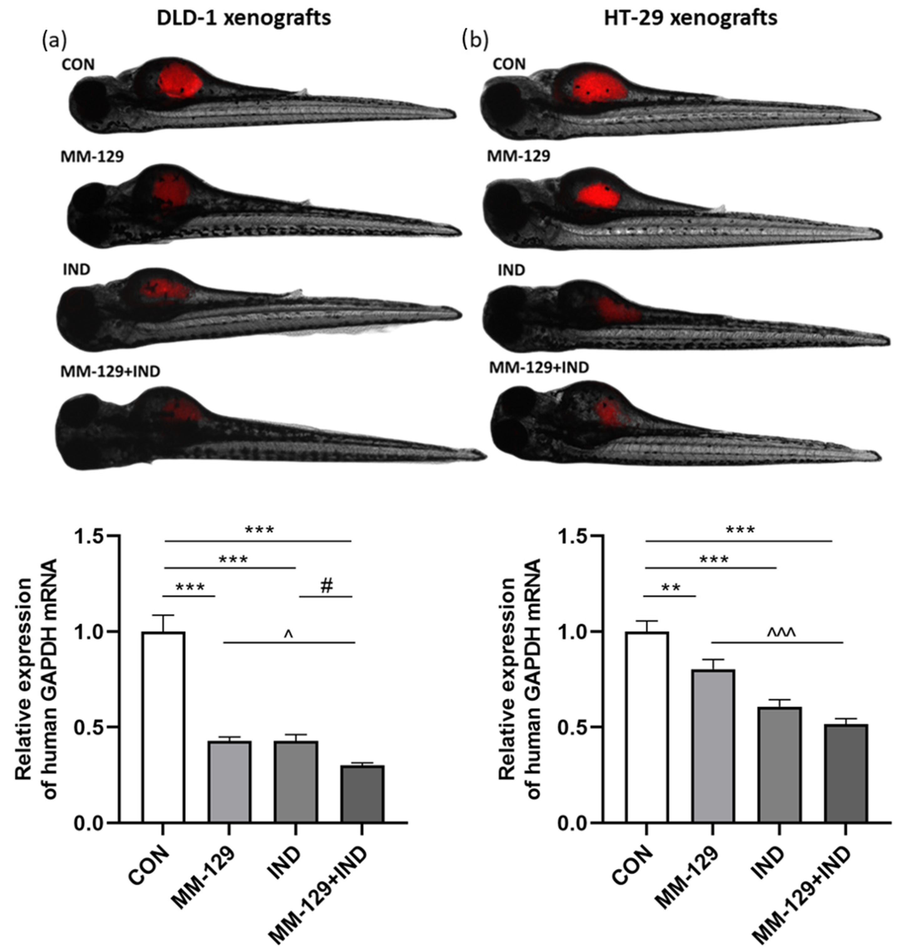 Cancers 16 00122 g001