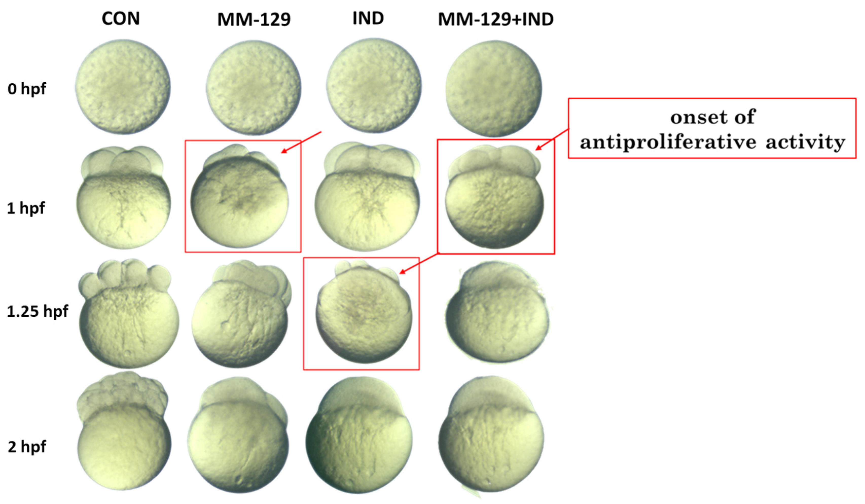 Cancers 16 00122 g002