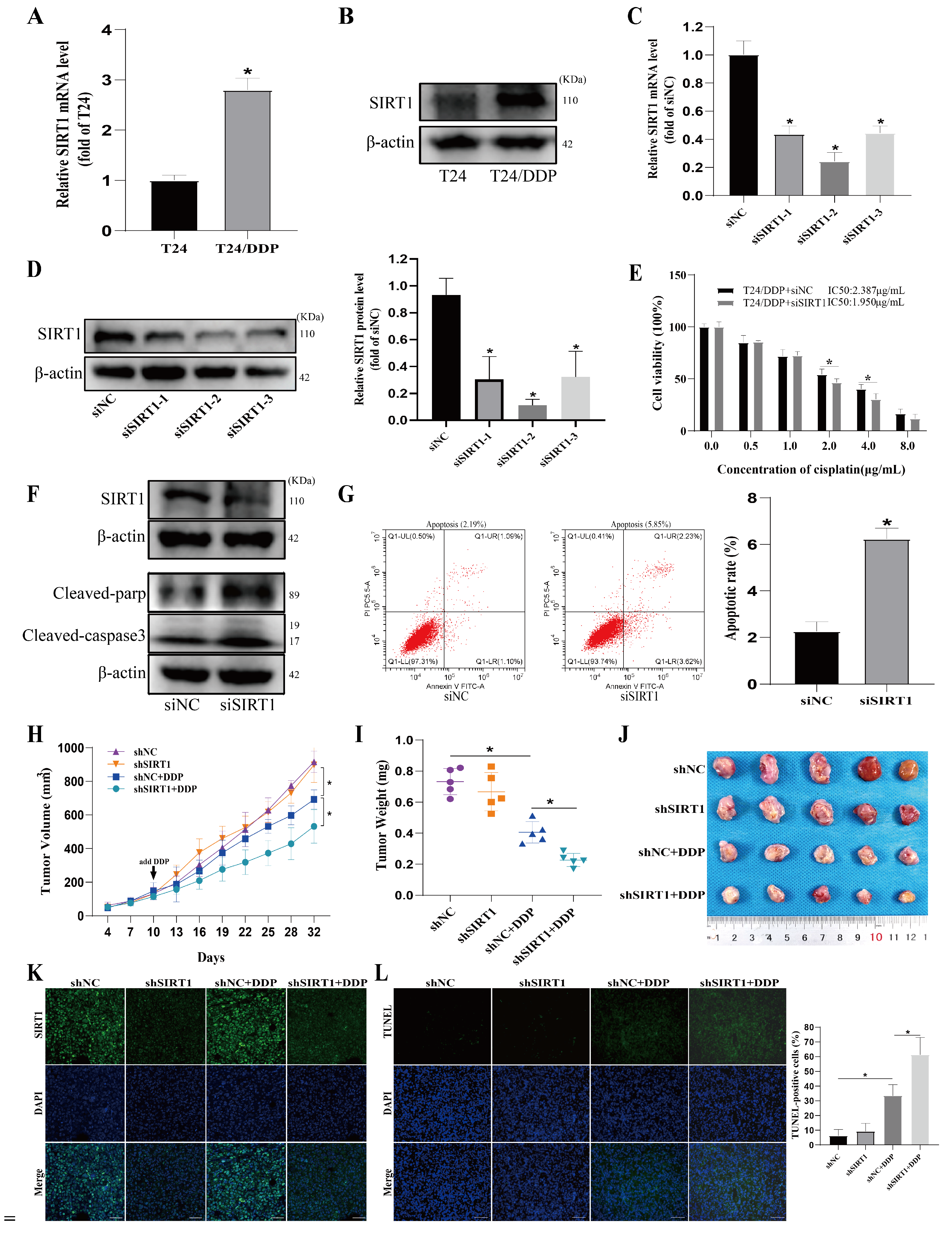 Cancers 16 00125 g003