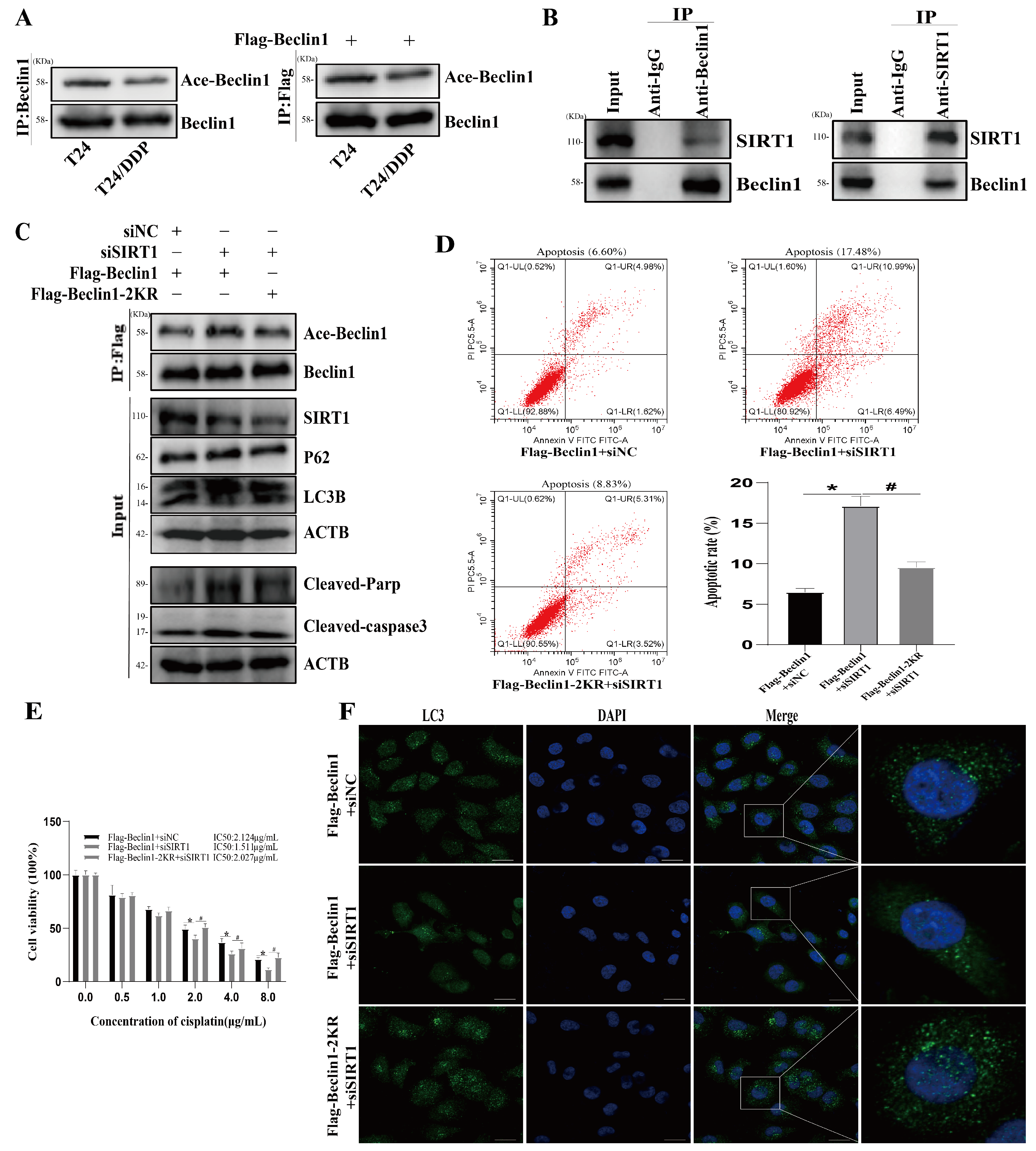 Cancers 16 00125 g005