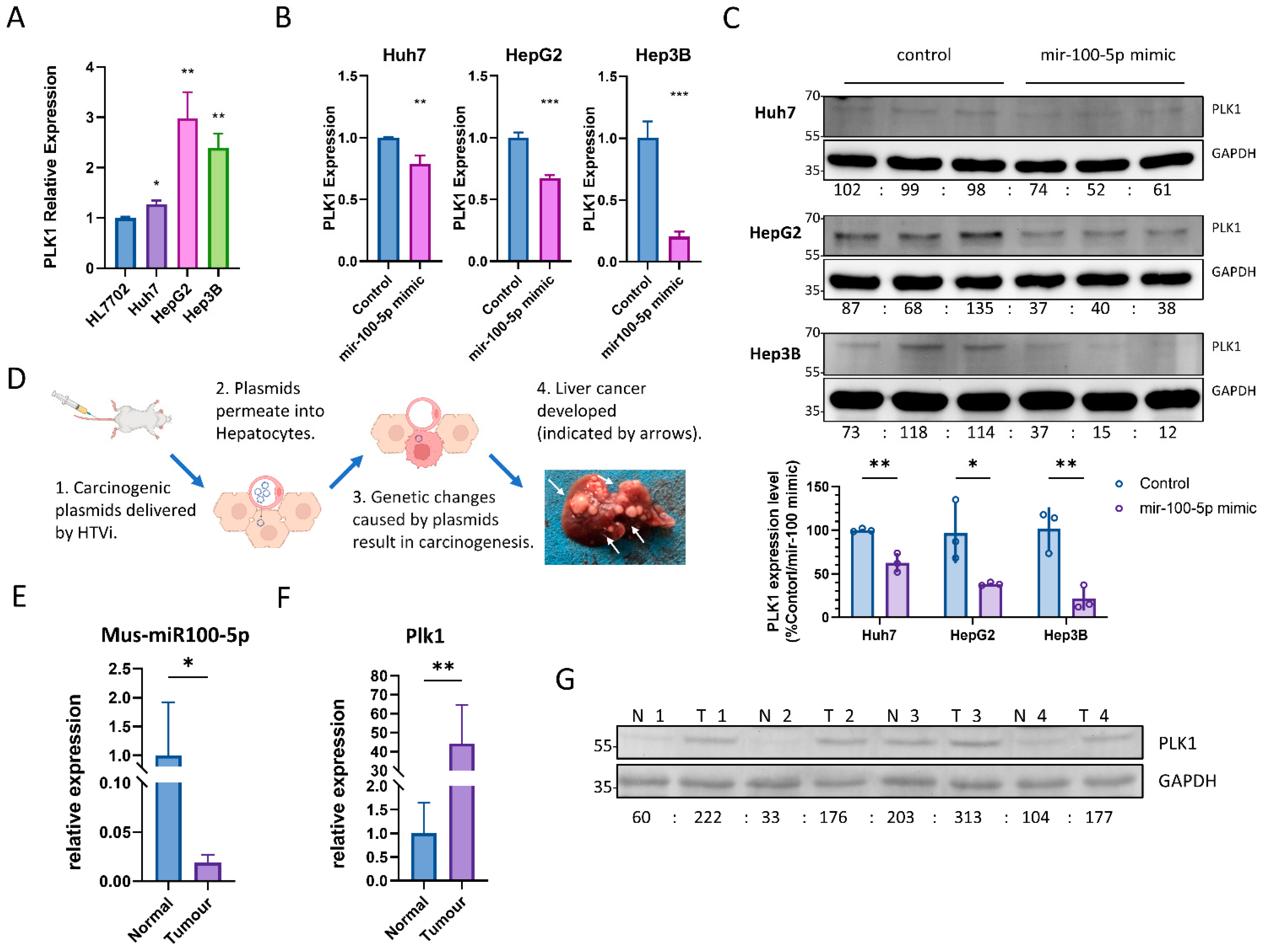 Cancers 16 00129 g003