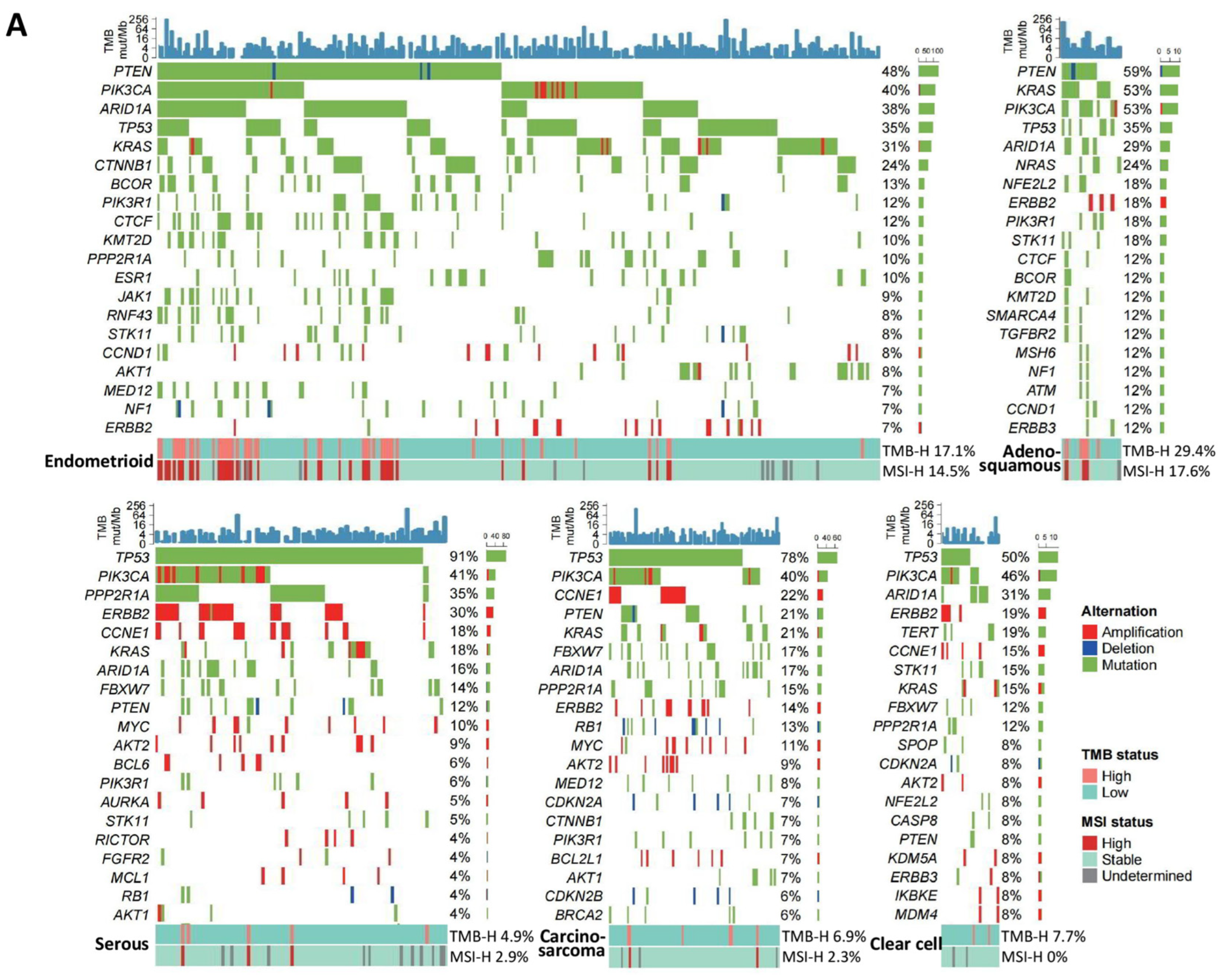 Cancers 16 00136 g002a