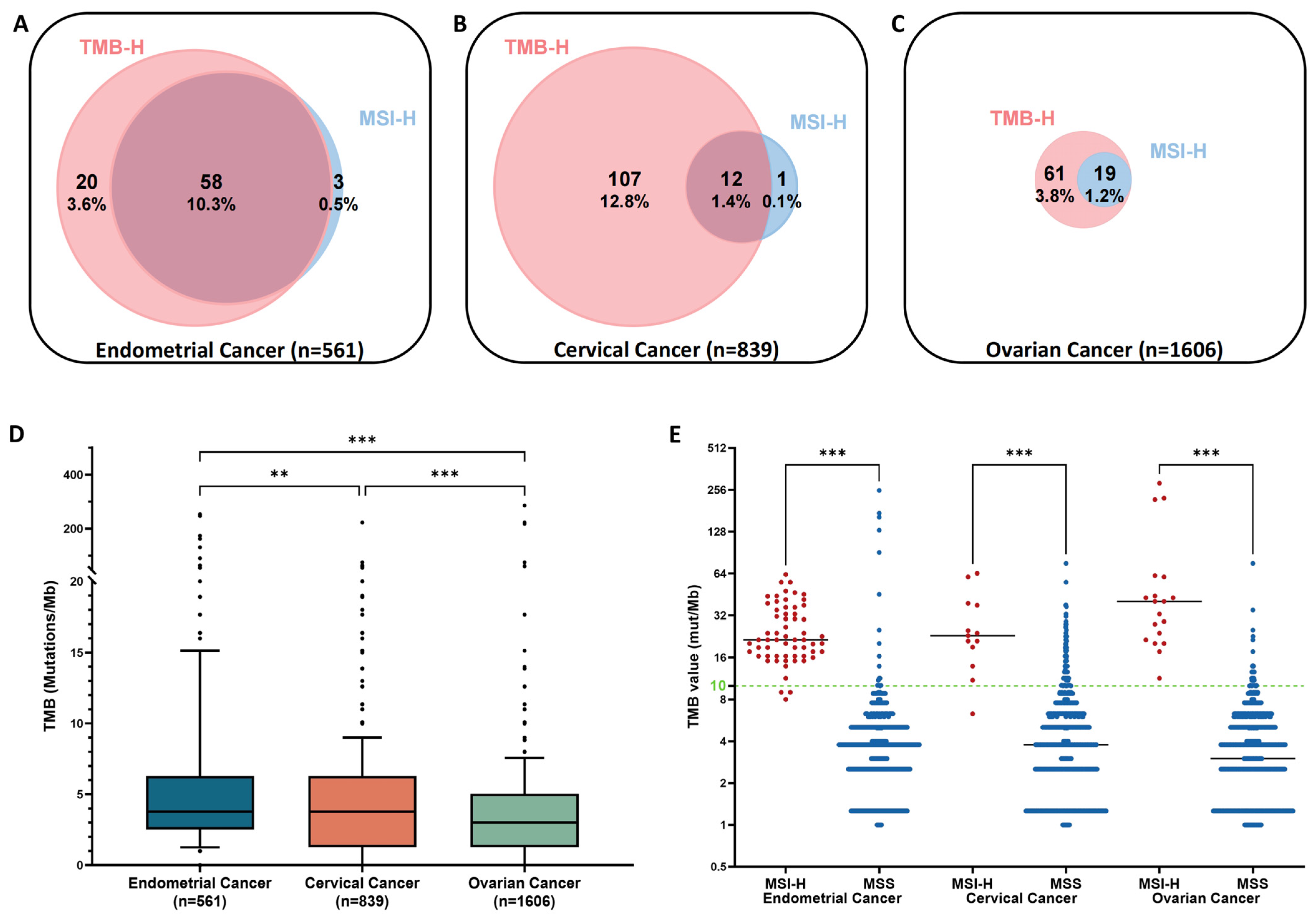 Cancers 16 00136 g004