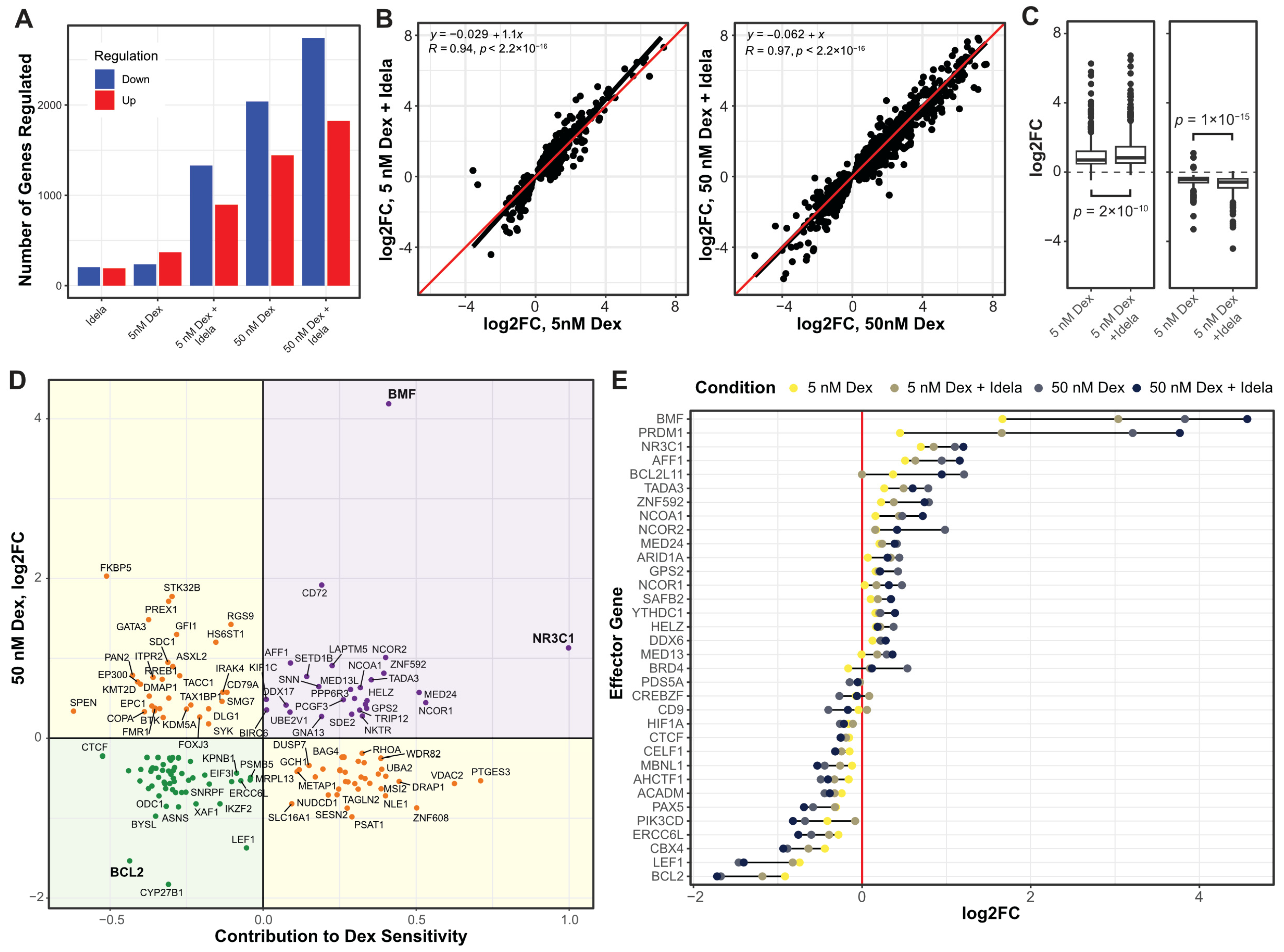Cancers 16 00143 g002