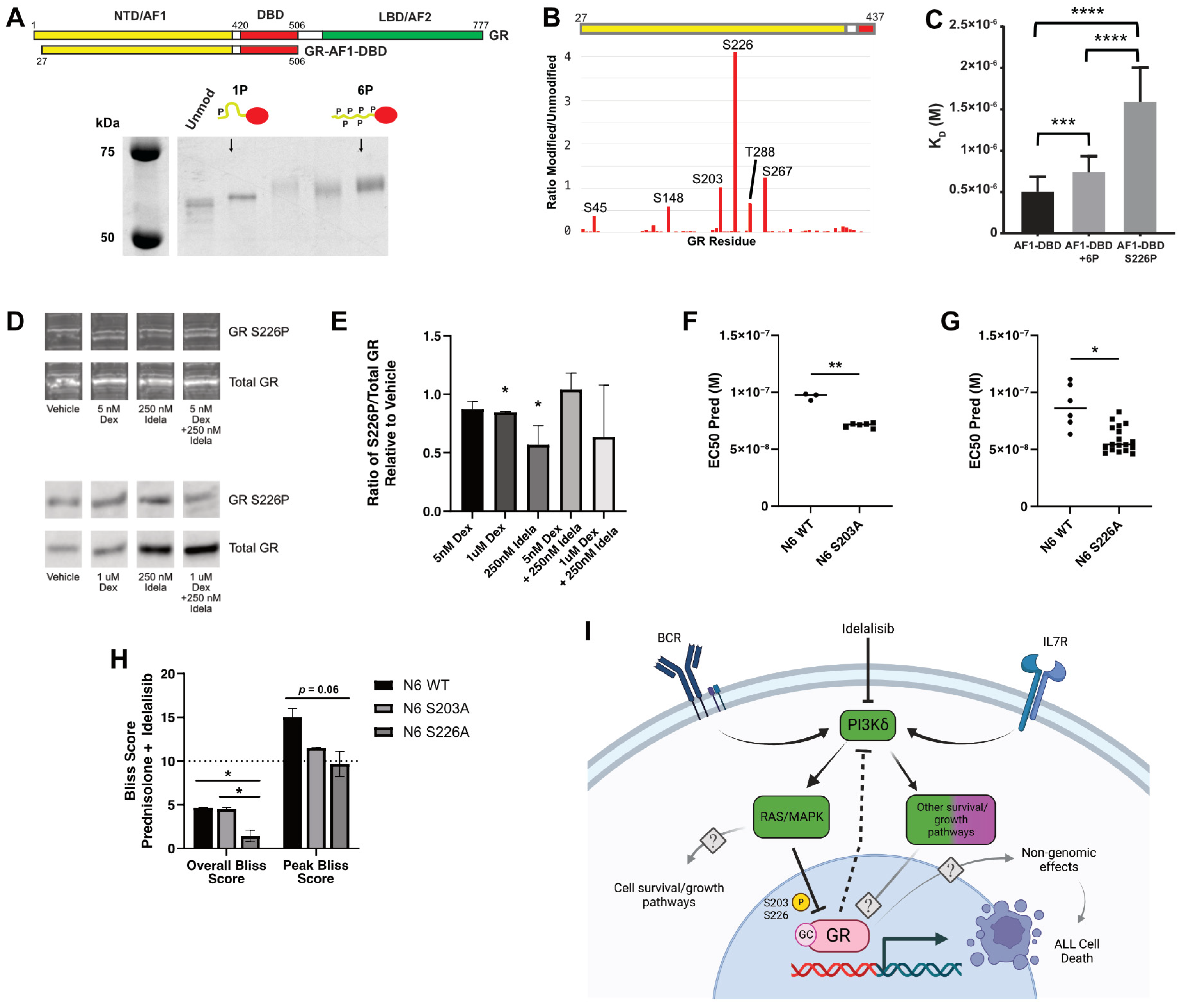 Cancers 16 00143 g004