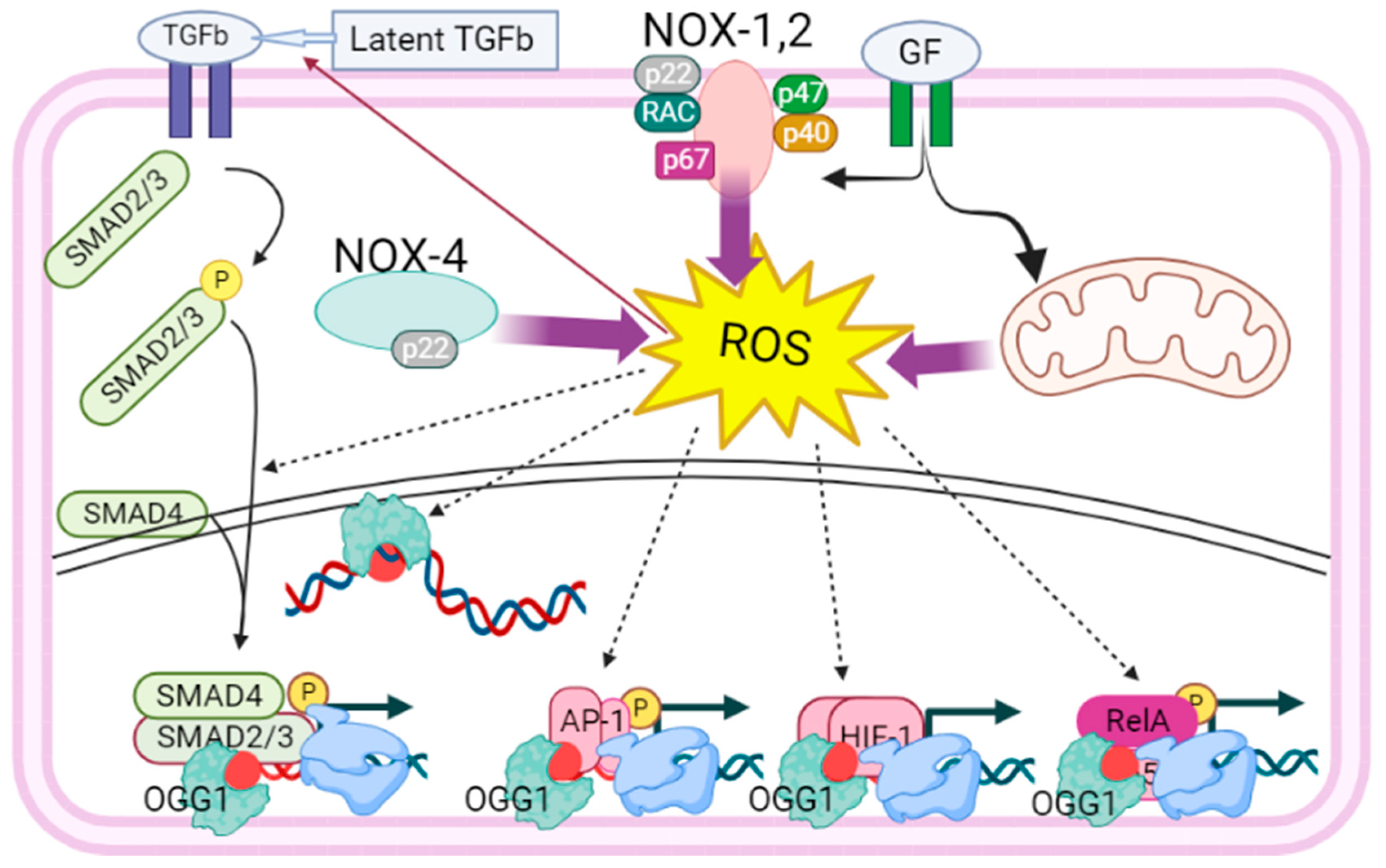 Cancers 16 00148 g001 Cancers 16 00148 g001