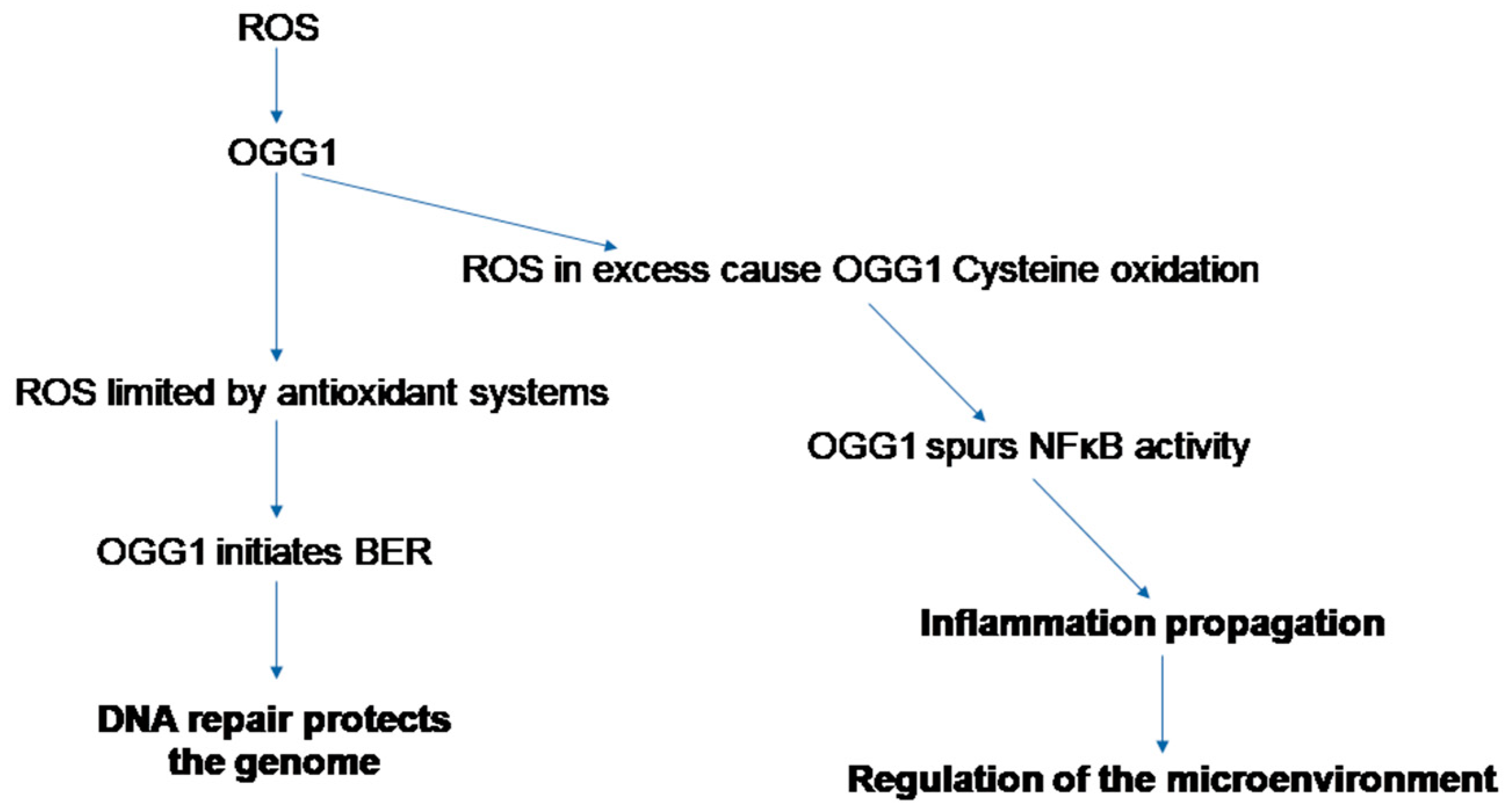Cancers 16 00148 g002 Cancers 16 00148 g002