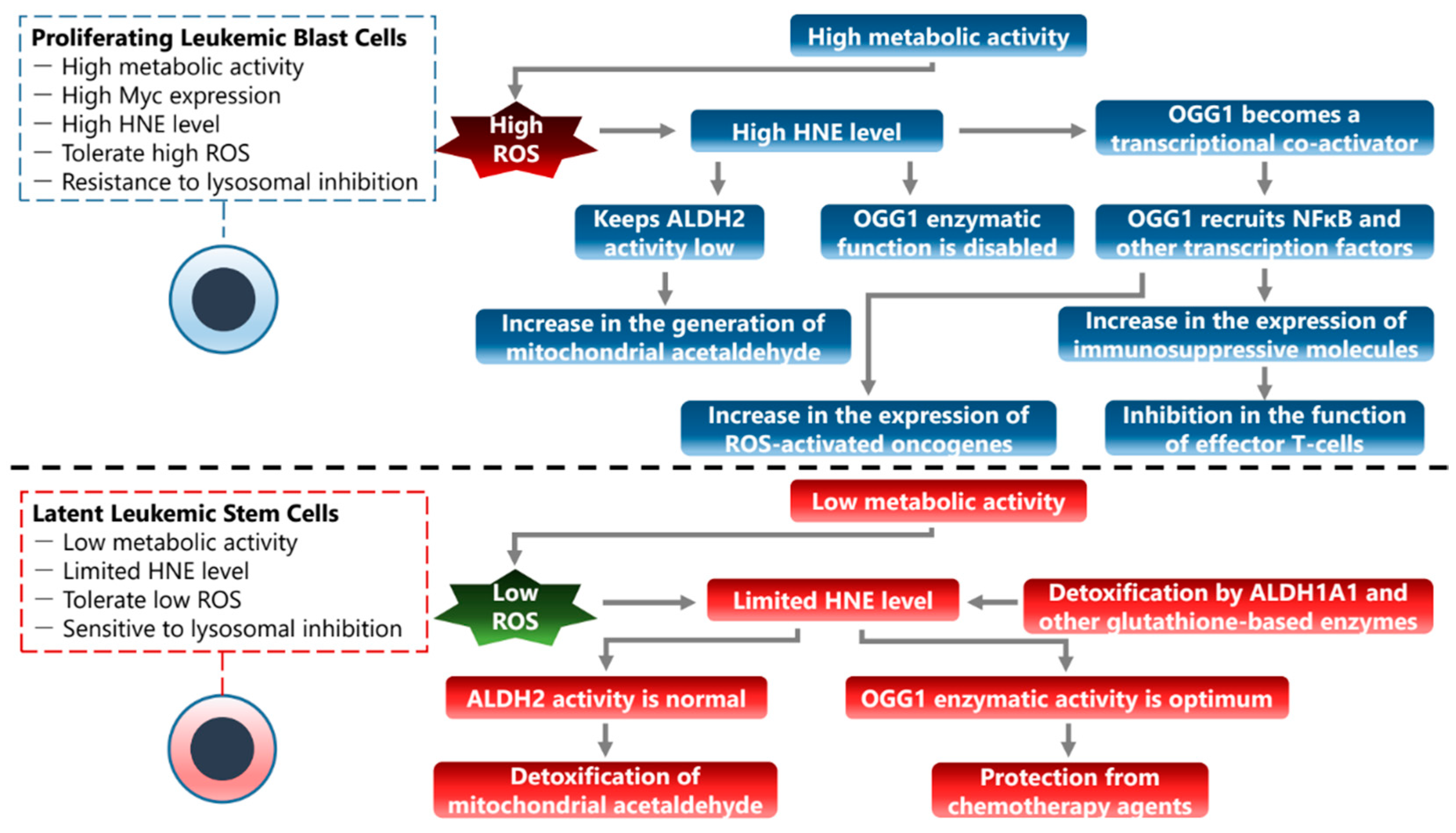Cancers 16 00148 g003 Cancers 16 00148 g003