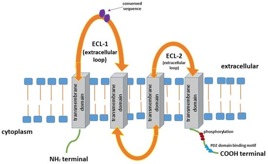 Cancers 16 00152 g001
